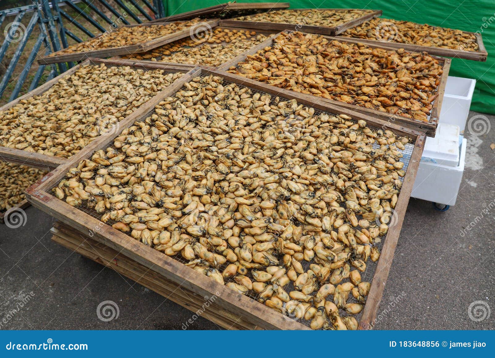 Dried Seafood on a Market Stall in Hong Kong Stock Photo Image of kong, purchase 183648856