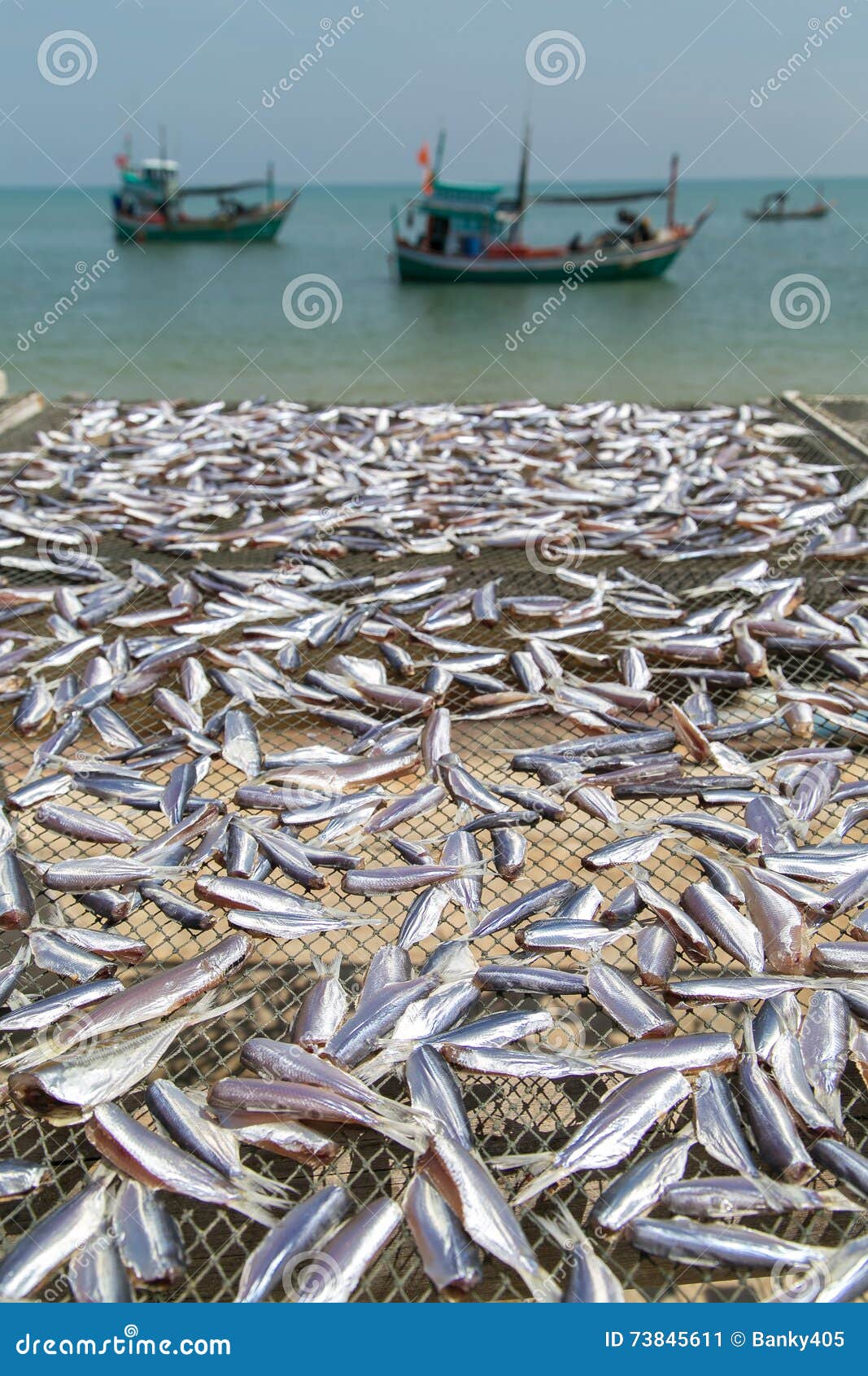 Dried Seafood at Thai Sea stock image. Image of animal 73845611