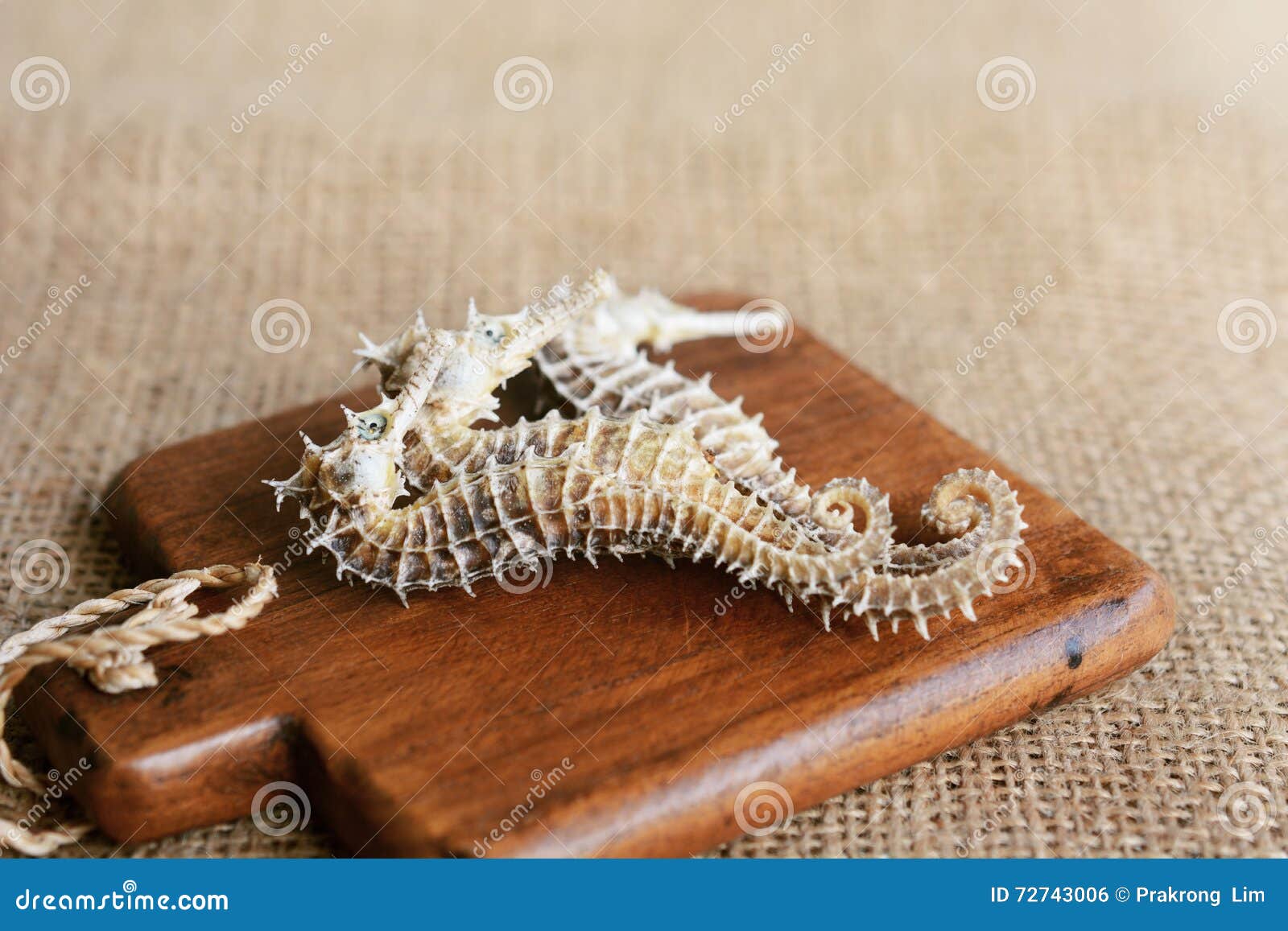 Dried Seahorse On Wooden Background Stock Photo - Image of fossil