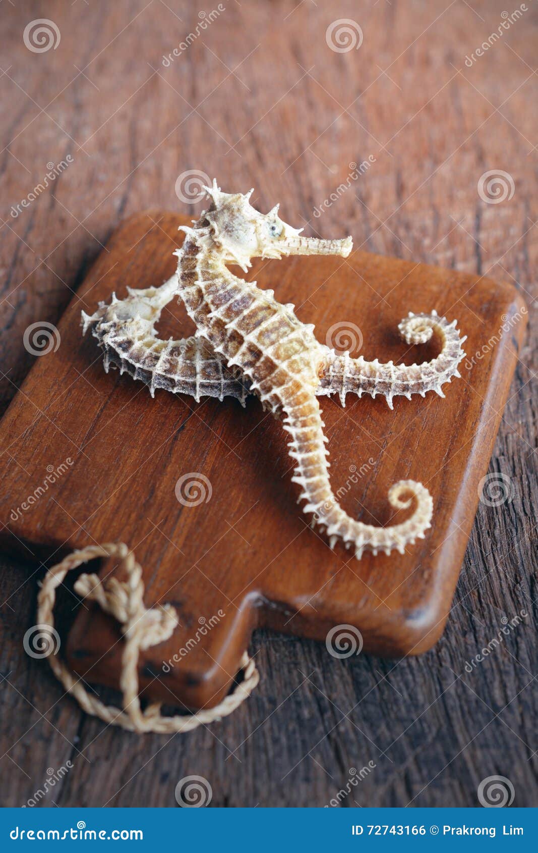 Dried Seahorse on Wooden Background Stock Photo - Image of dried, board