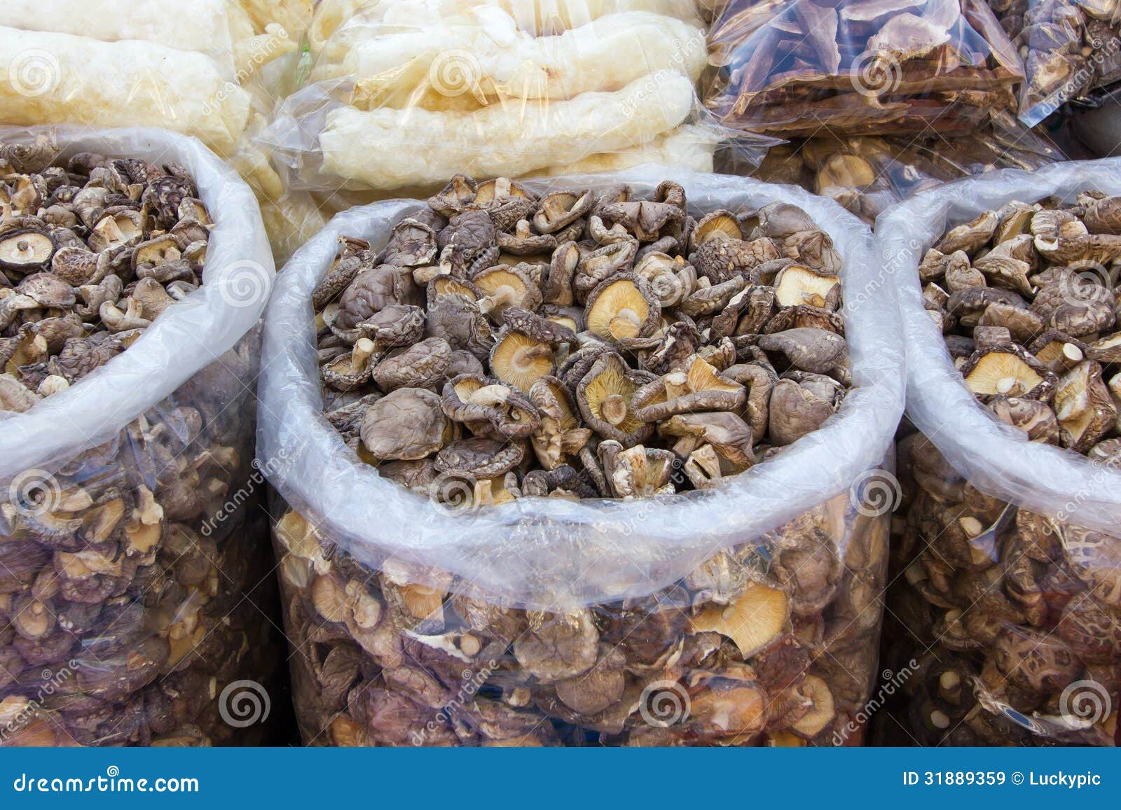 Dried shiitake mushroom stock image. Image of fungus - 31889359