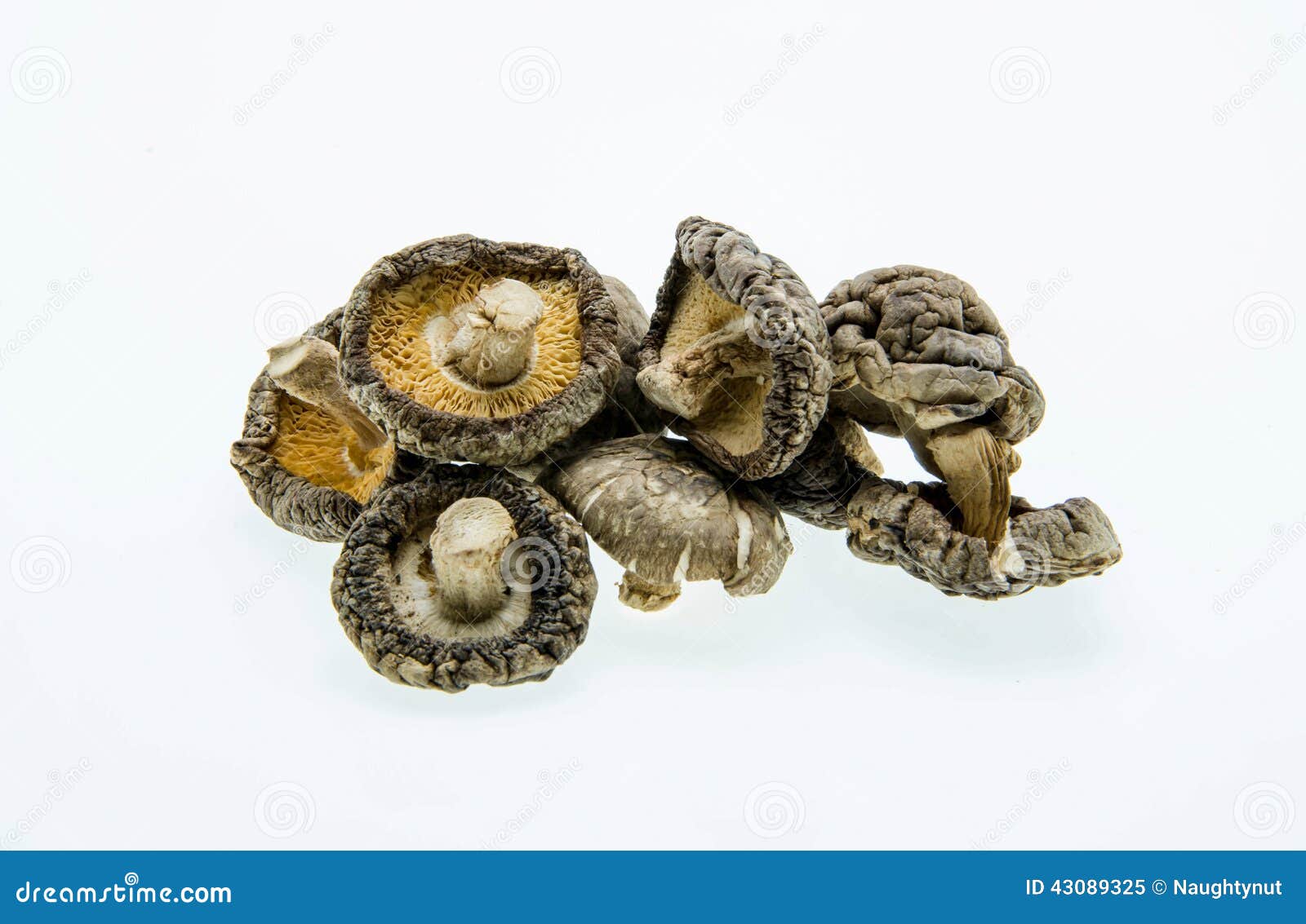 Dried Shiitake Mushroom stock image. Image of ingredient 43089325