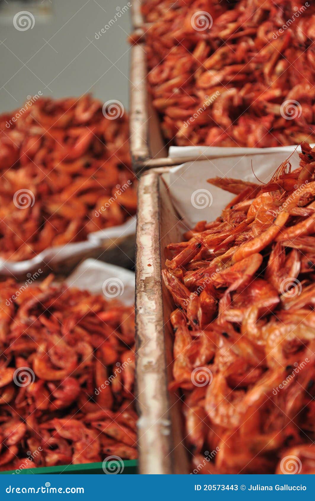 Dried Shrimp stock image. Image of healthy, natural, shrimp 20573443