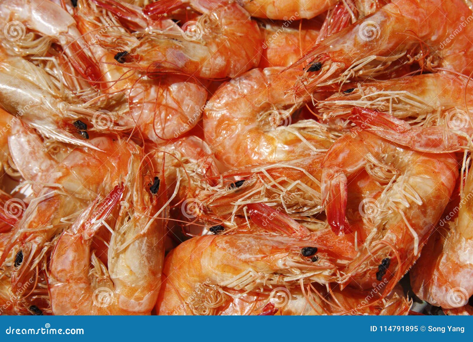 Dried shrimp for foods stock image. Image of shrimp 114791895
