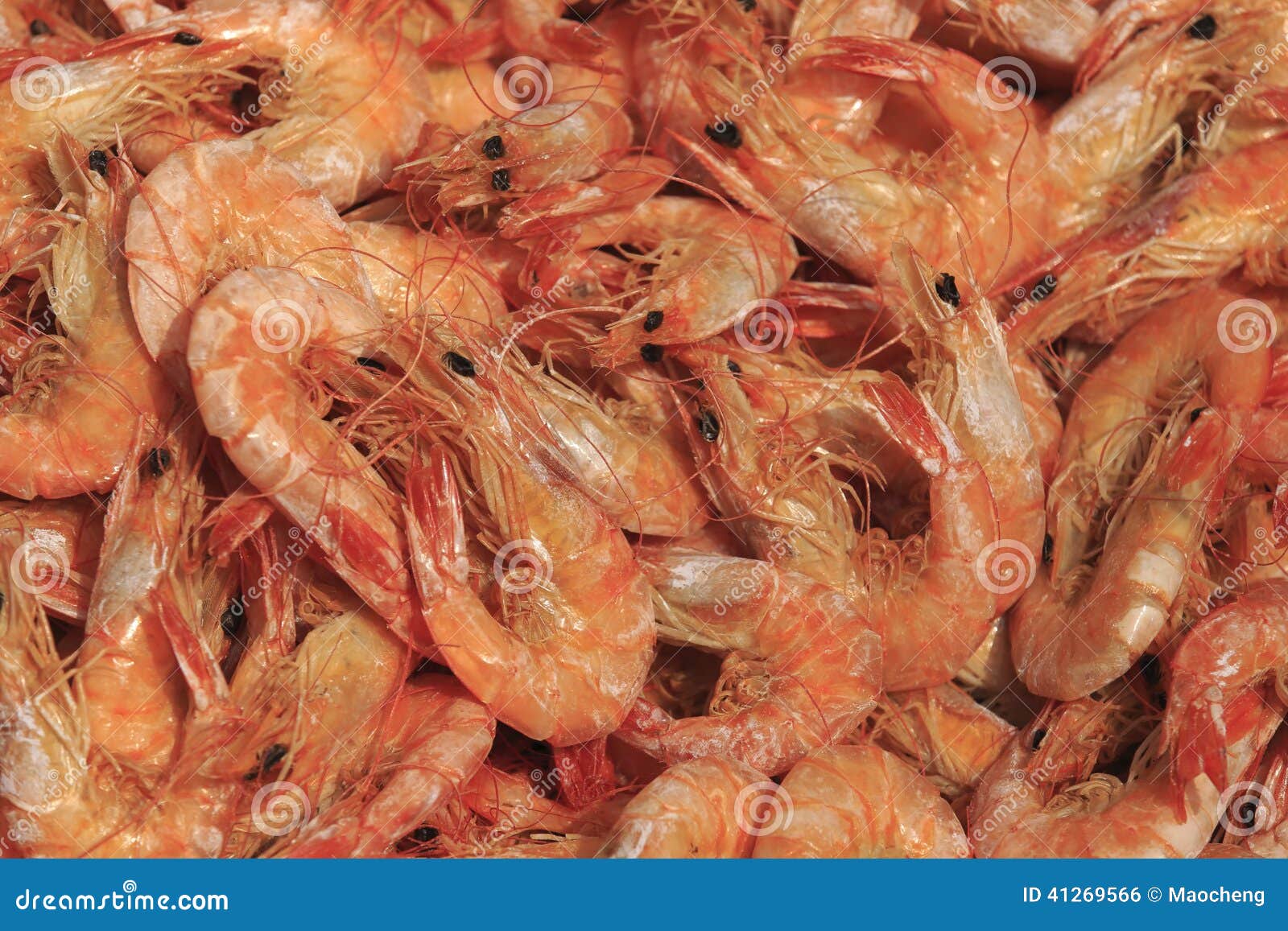 Dried shrimp for foods stock photo. Image of rural, eating 41269566