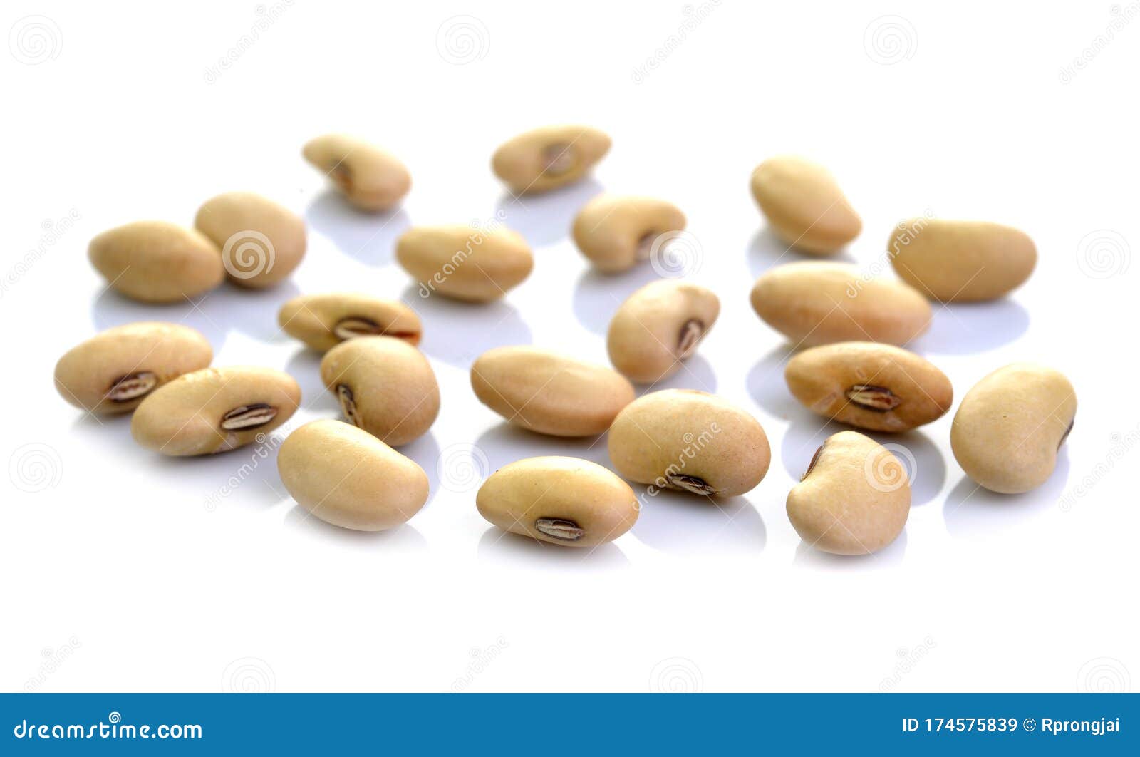 Dried soybeans stock image. Image of nature, seed, soybeans 174575839