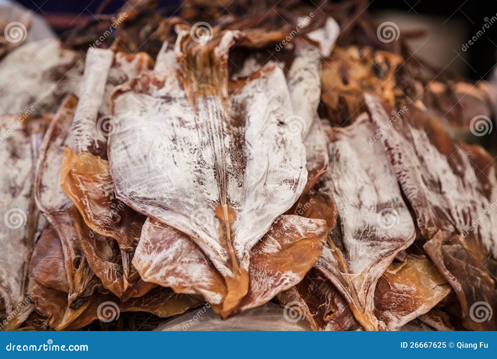 Dried squid stock image. Image of asia, heat, squid, white 26667625