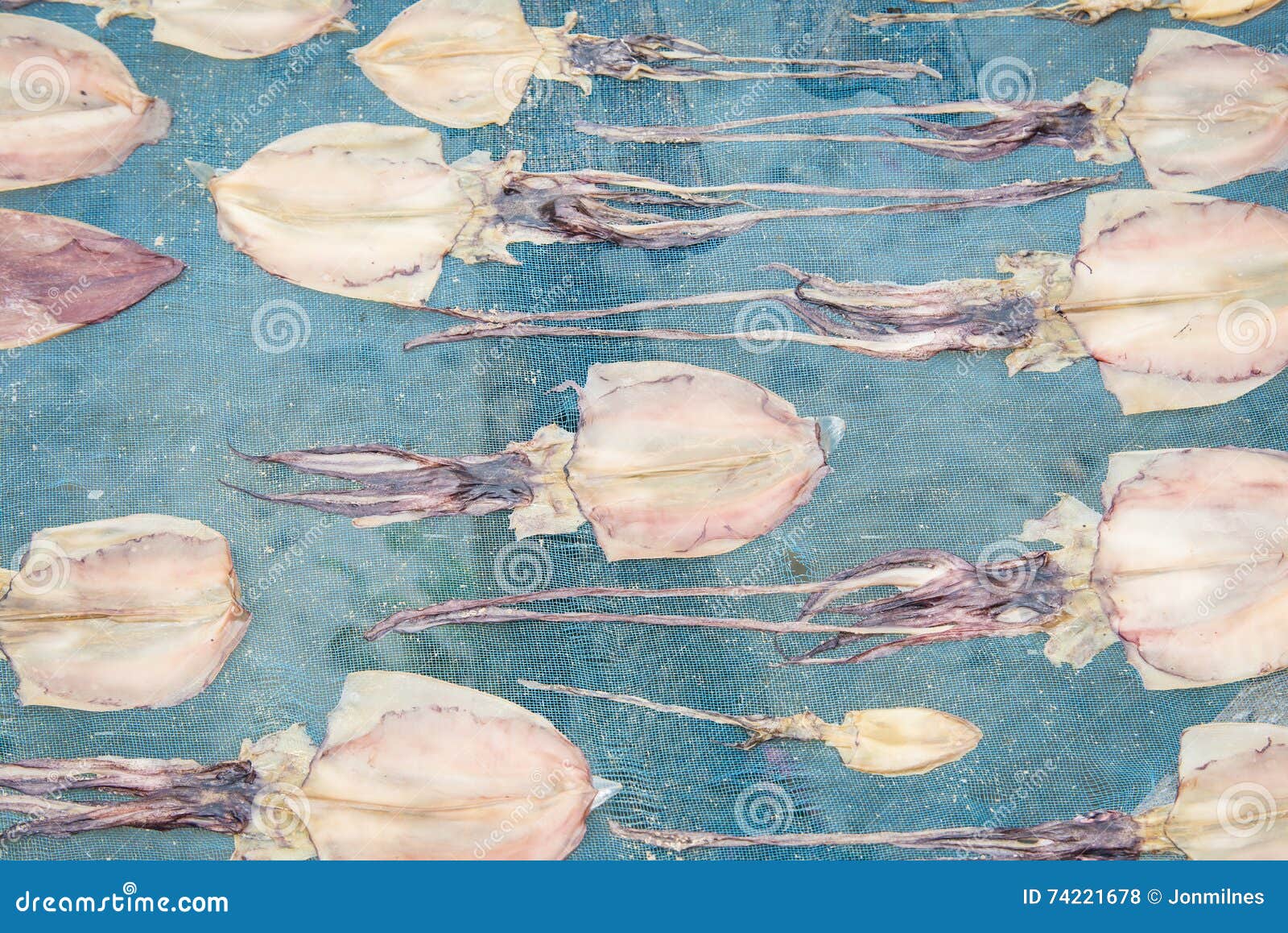 Dried squid stock photo. Image of alcohol, preserved 74221678