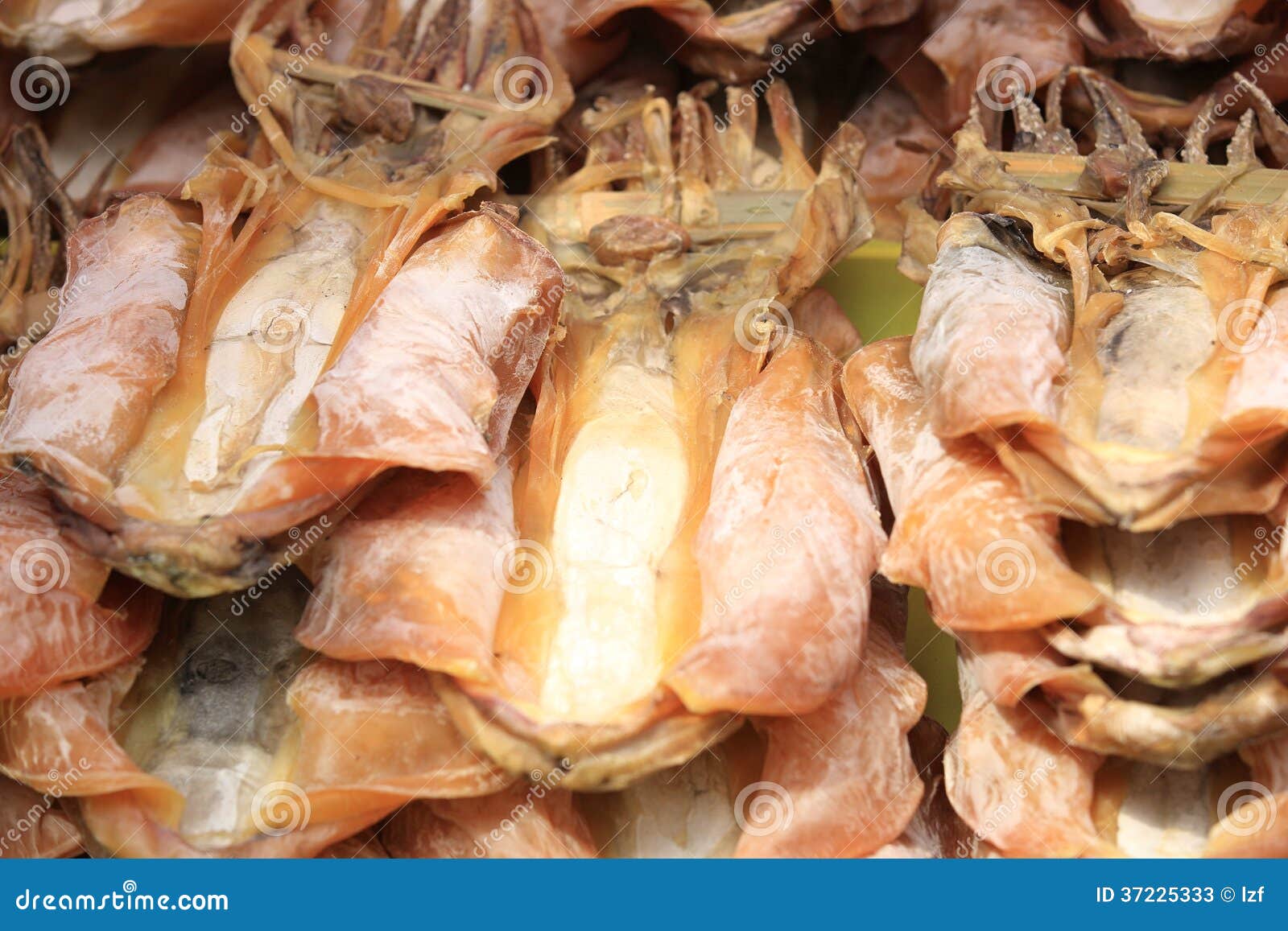 Dried squid stock image. Image of group, food, cuisine 37225333