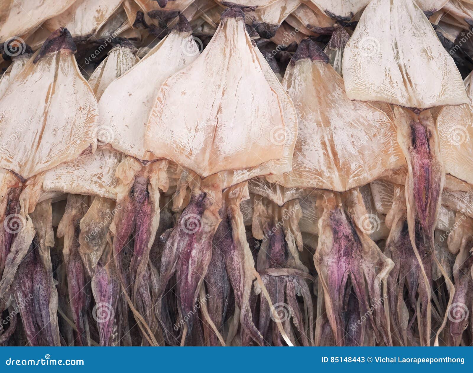 Dried Squid for Grilled Squid Stock Image Image of background, fresh