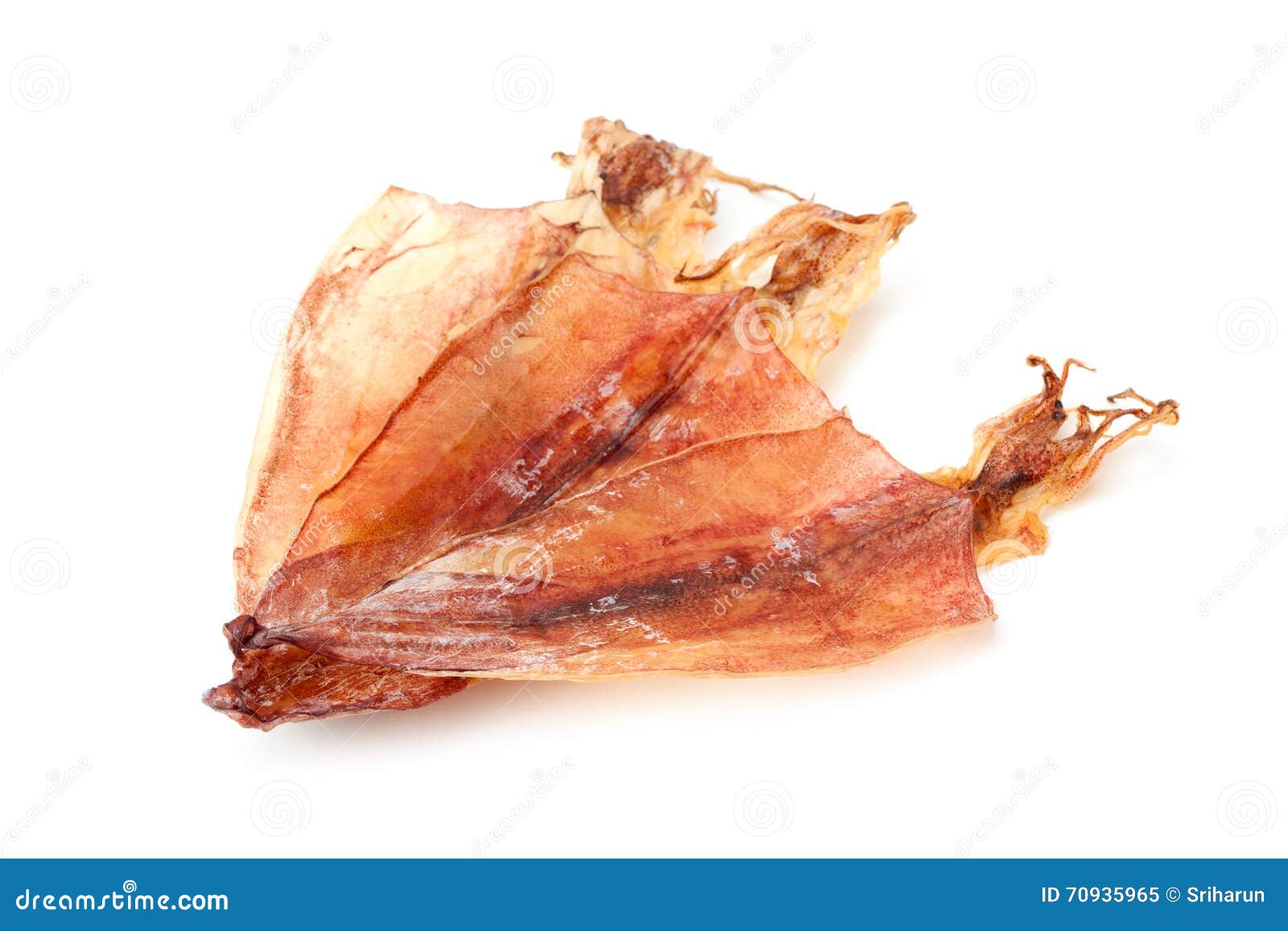 Dried squid stock image. Image of nature, healthy, closeup 70935965
