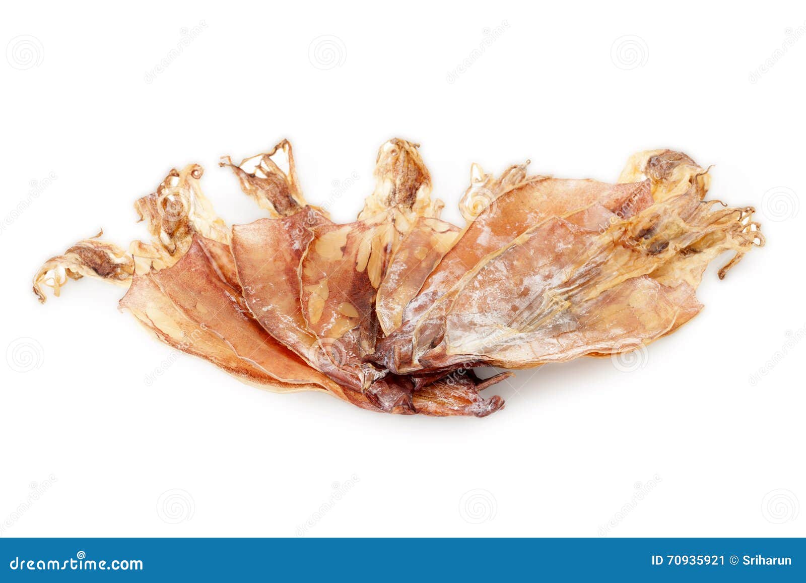 Dried squid stock image. Image of eating, squid, delicious 70935921