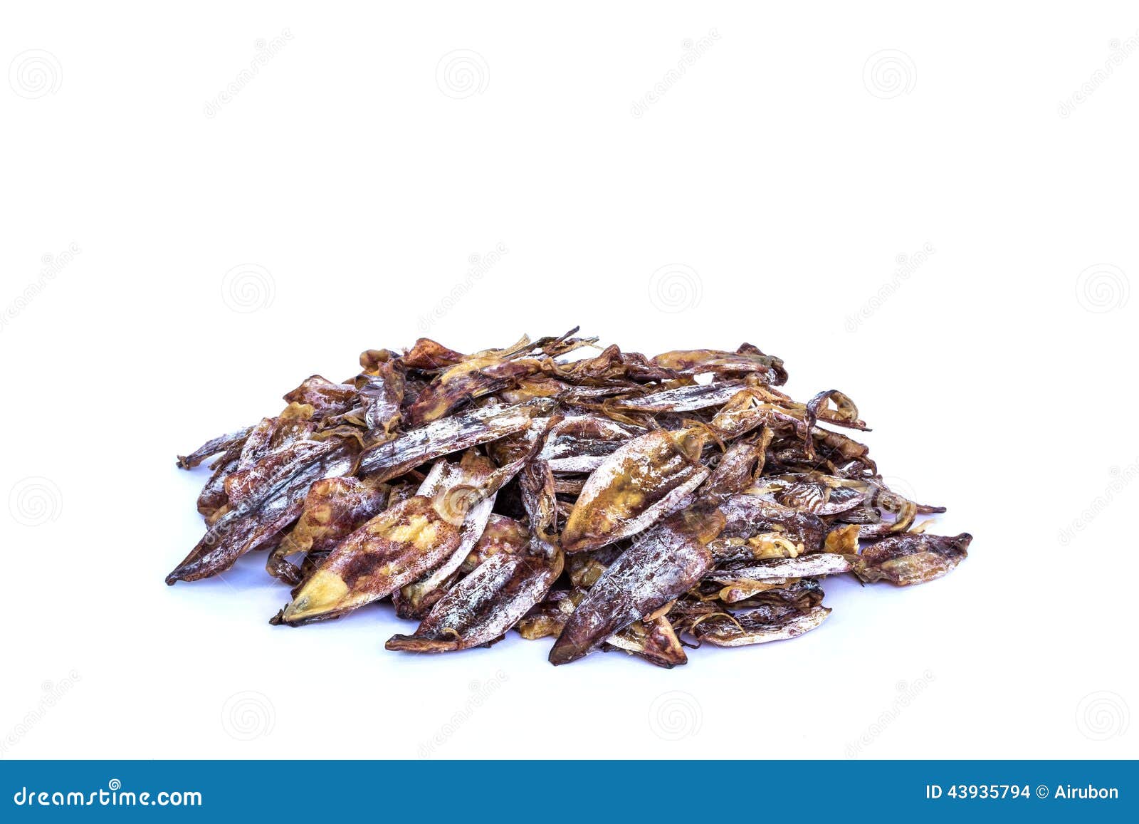 Dried squid stock photo. Image of invertebrate, group 43935794