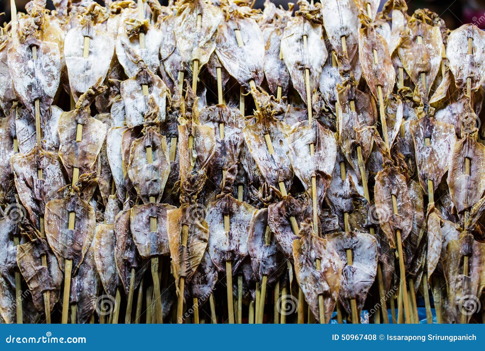 Dried squids stock photo. Image of thailand, squid, salt 50967408