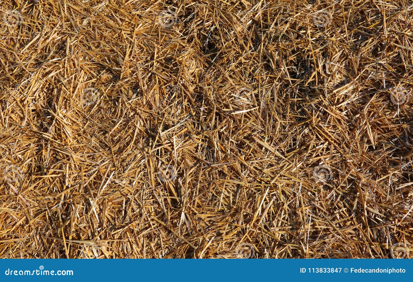 Dried Straw And Barn Hay Stock Image Image Of Haymow 113833847