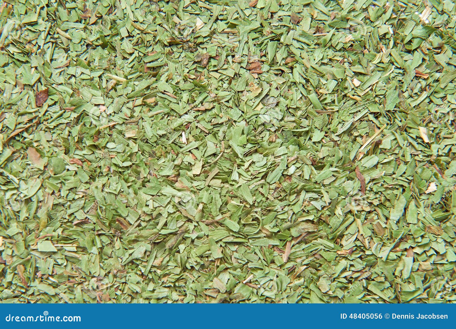 Dried tarragon leaves stock photo. Image of seeds, healthy 48405056