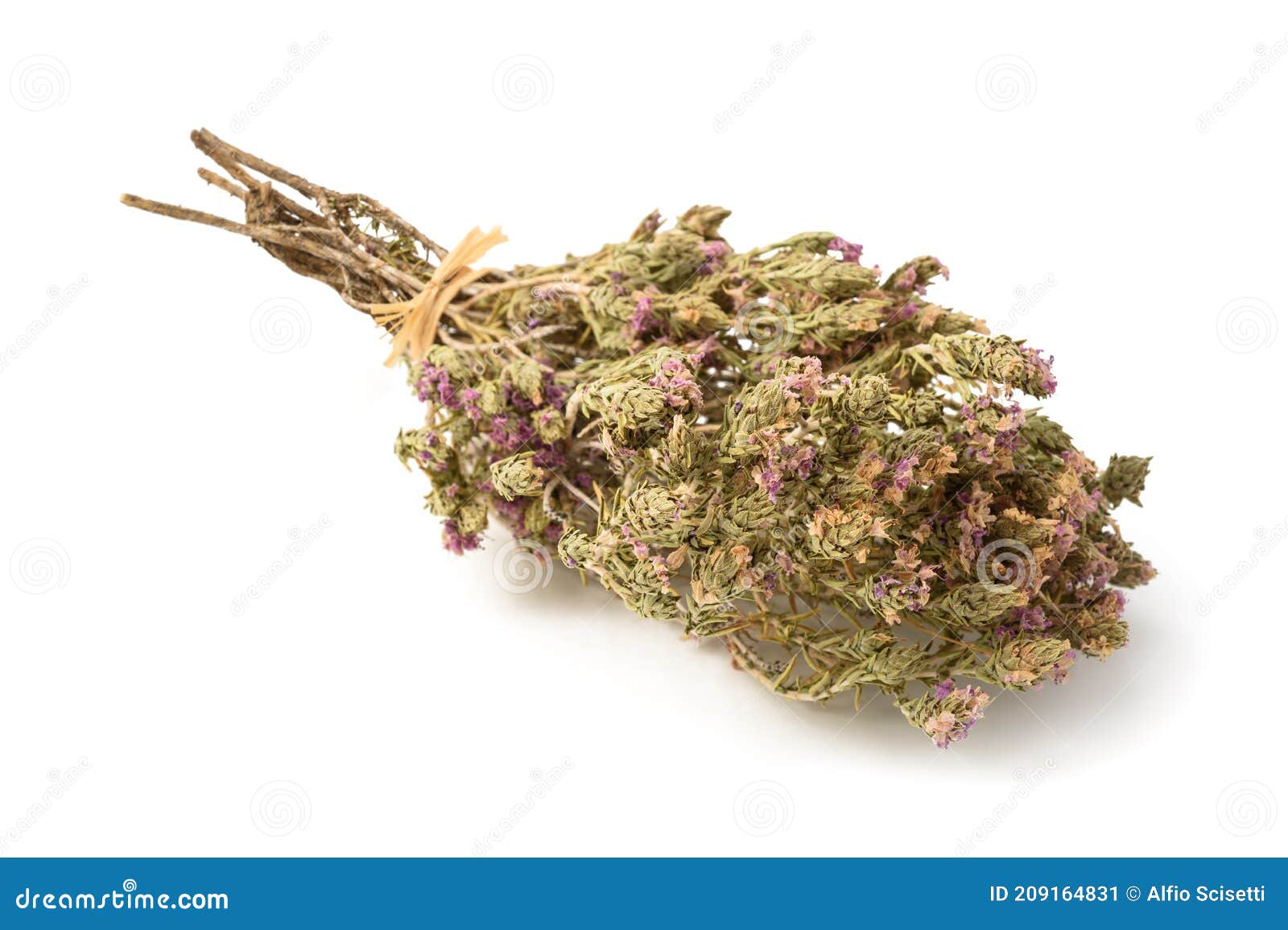 Dried thyme with flowers stock image. Image of flowers 209164831