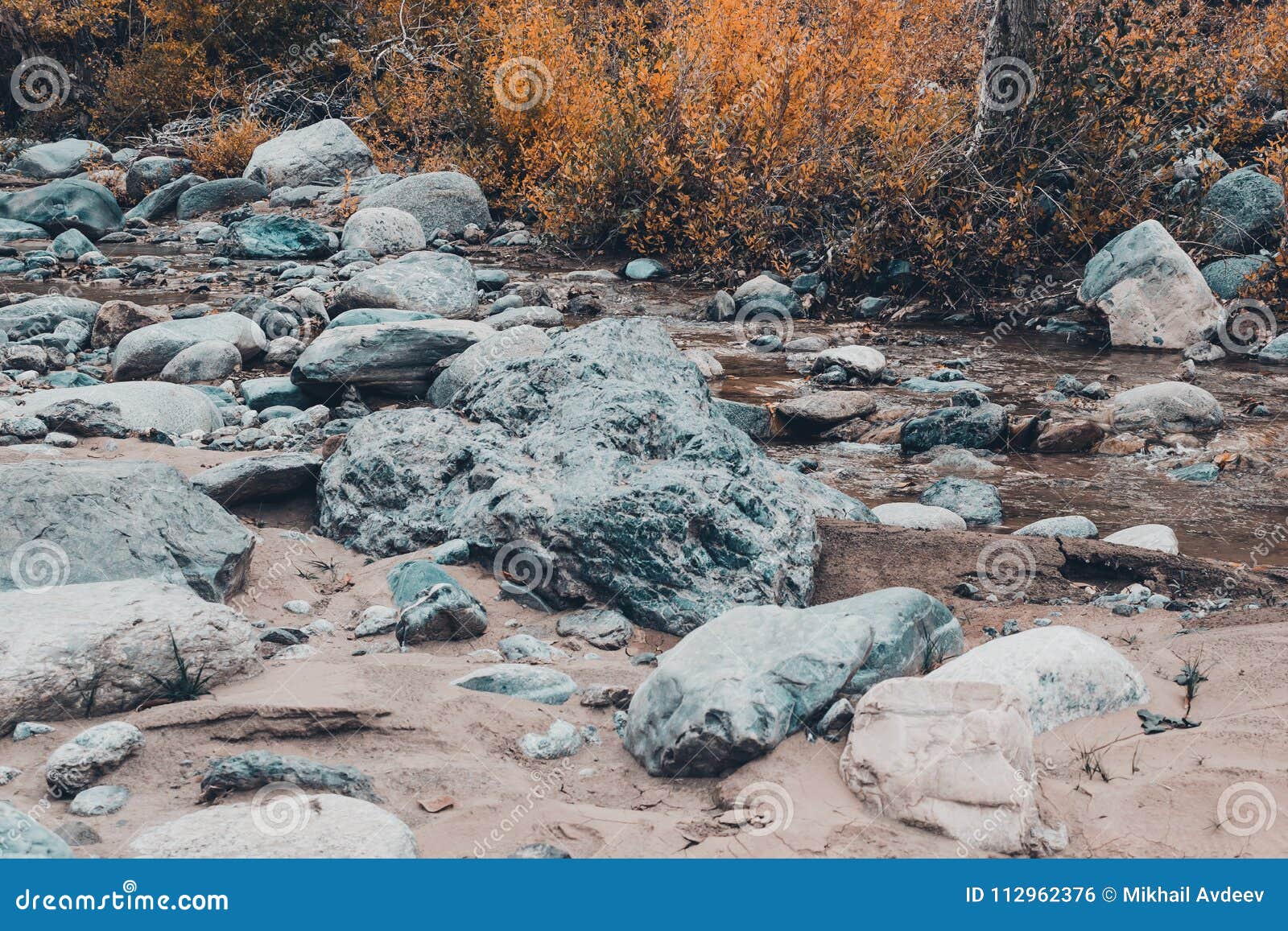 dried up riverbed with stones and poplars on the shore