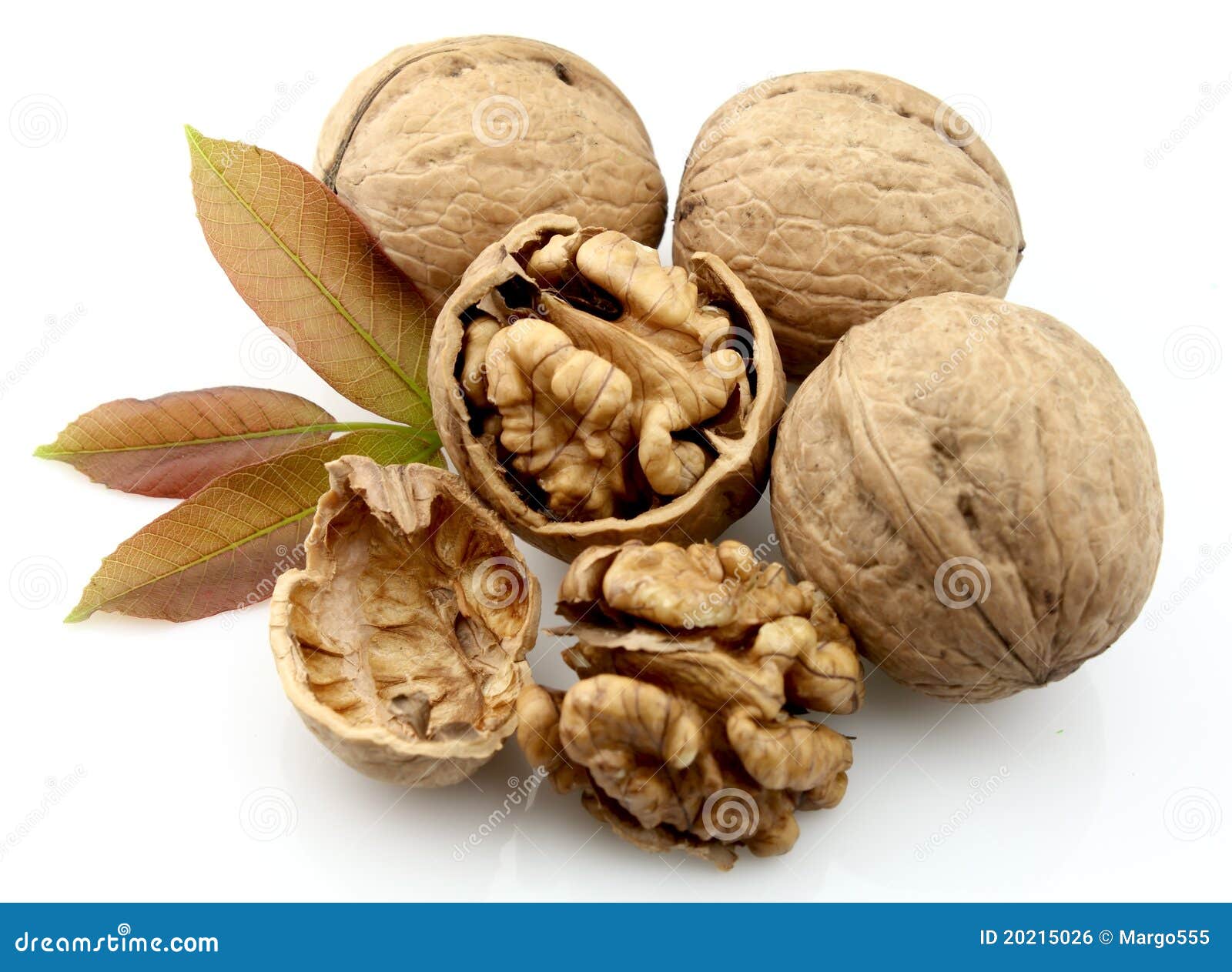 Dried walnut stock photo. Image of nature, seed, medicine 20215026