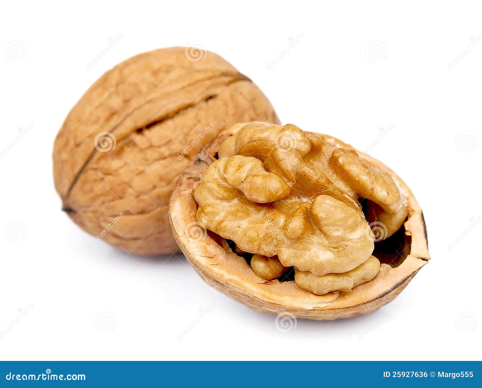 Dried walnut stock photo. Image of cuisine, nutrient 25927636