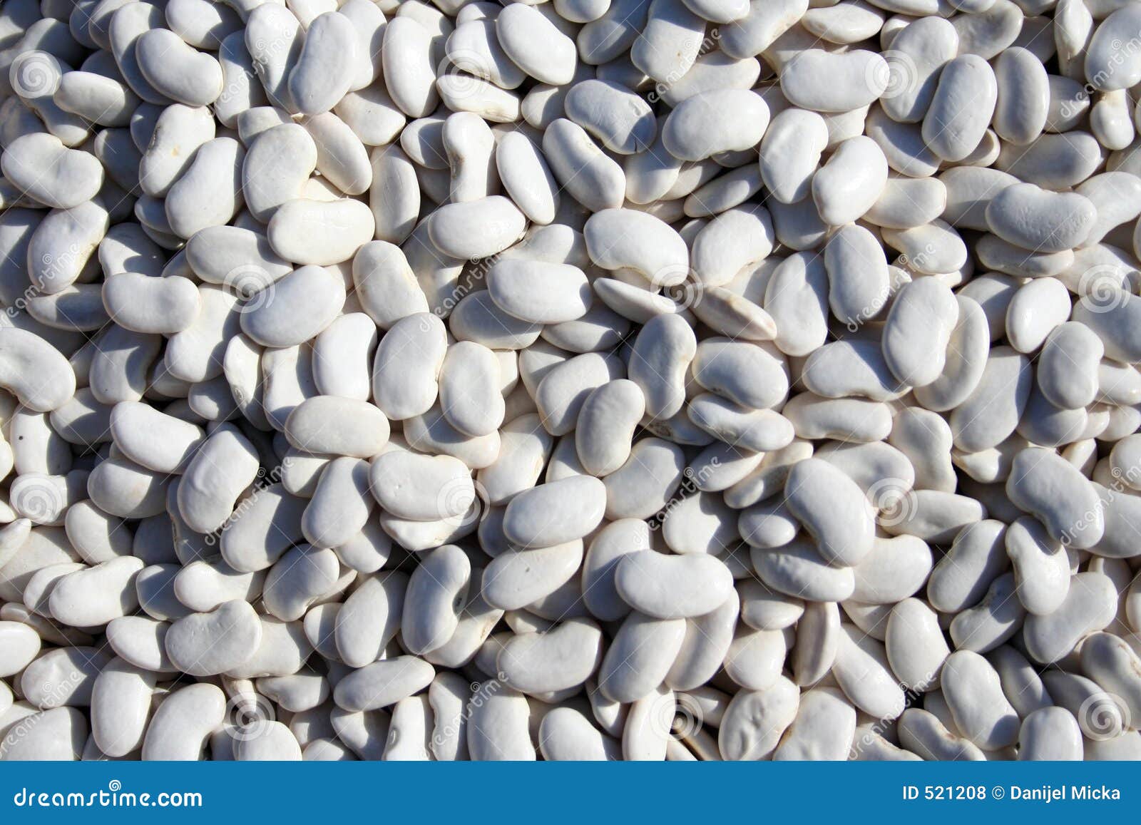 Dried white beans stock photo. Image of texture, background 521208