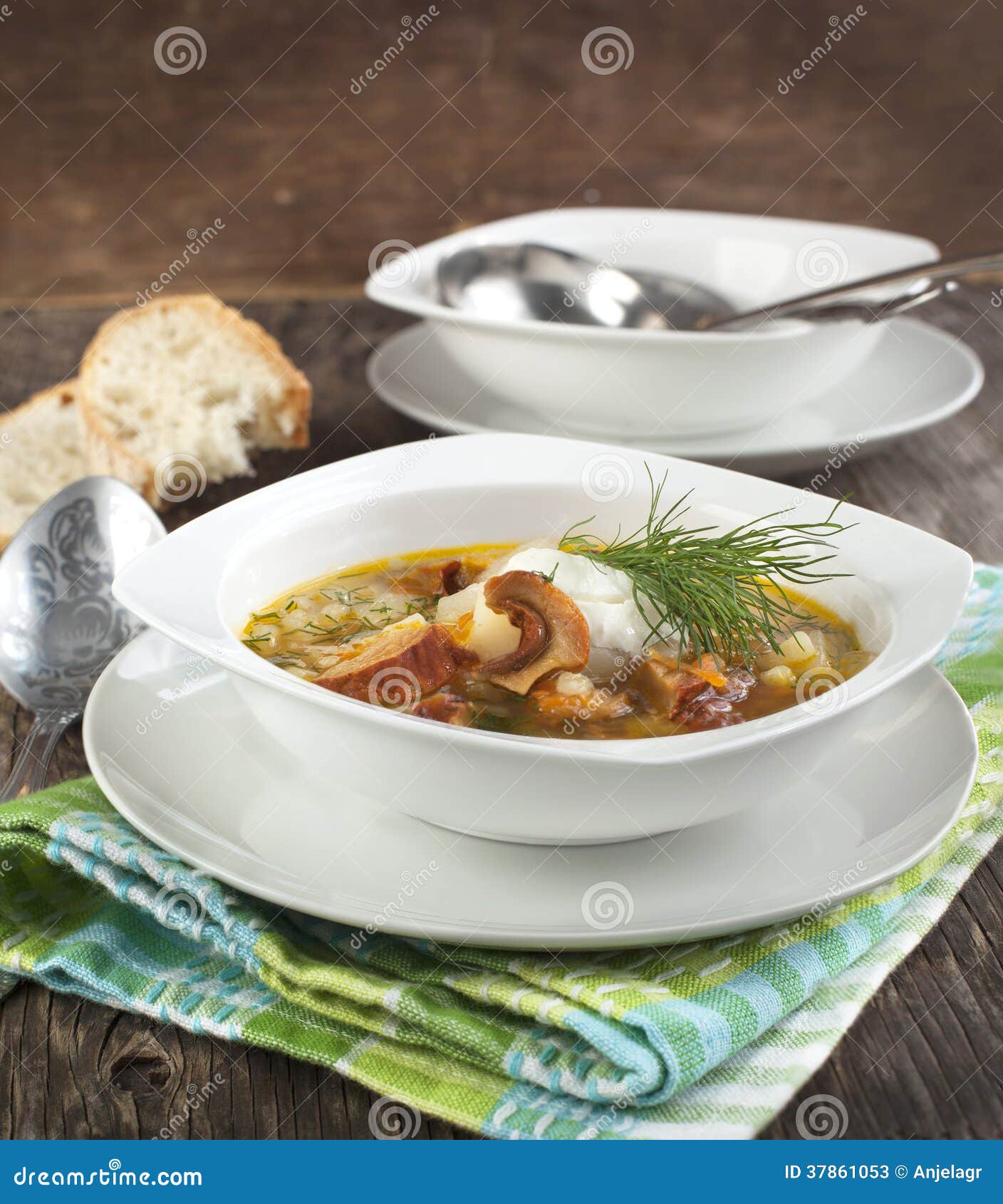 Dried Wild Mushroom and Potato Soup. Stock Image Image of healthy