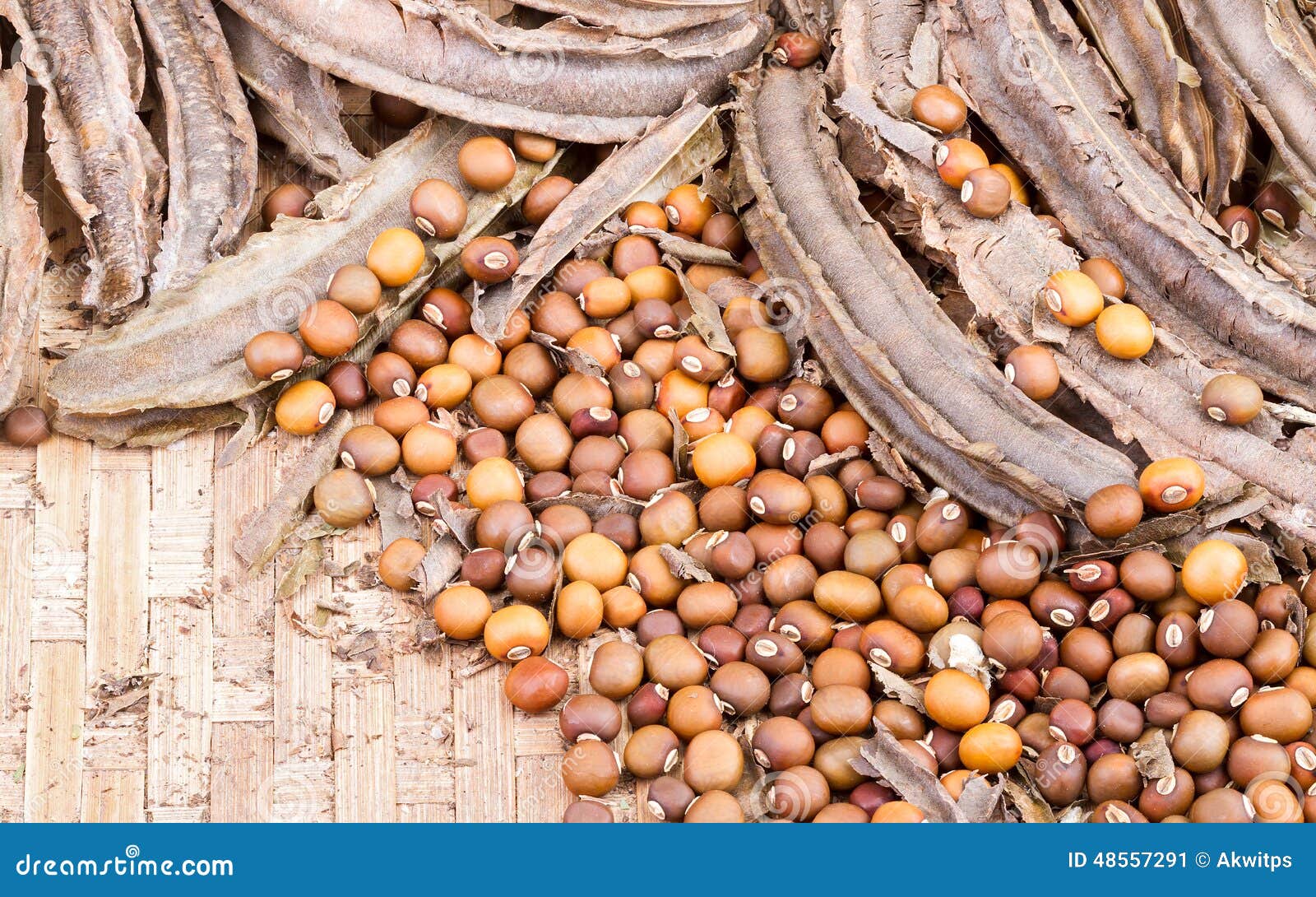 Dried Winged Bean Seed and Bean Pod on Bamboo Basket Stock Image