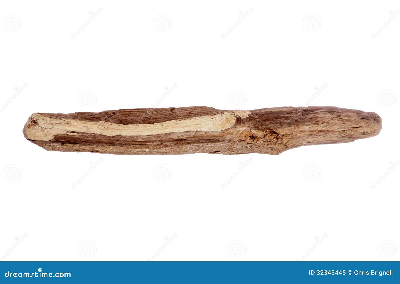 drift wood 