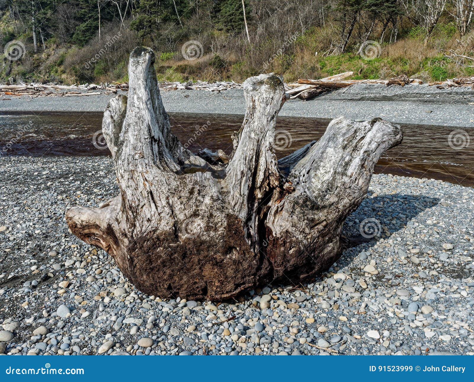 Driftwood Along the Coast stock image. Image of logs 91523999