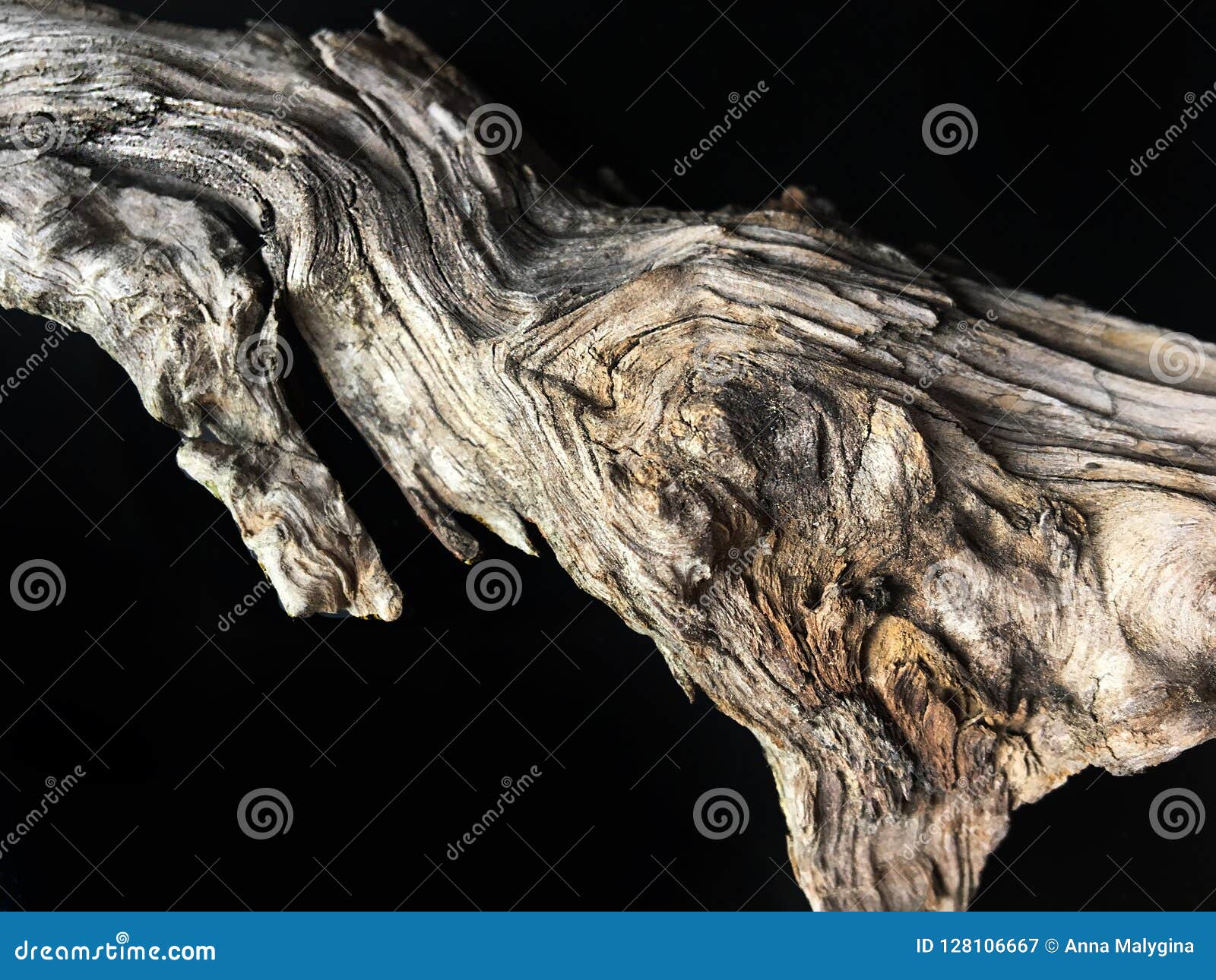 driftwood bark close up  on black