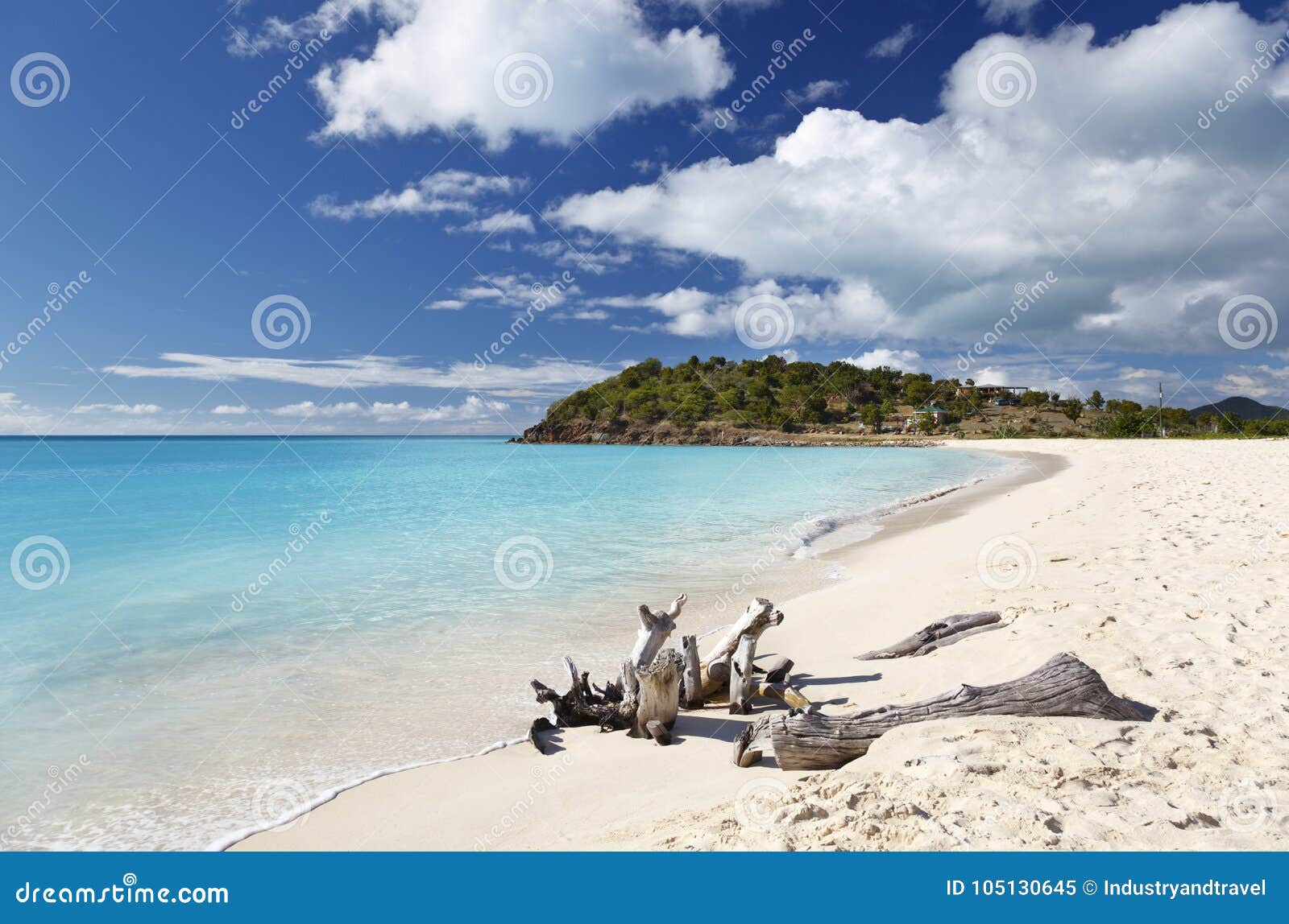 Caribbean Beach with Driftwood, Antigua Stock Image - Image of cloud ...