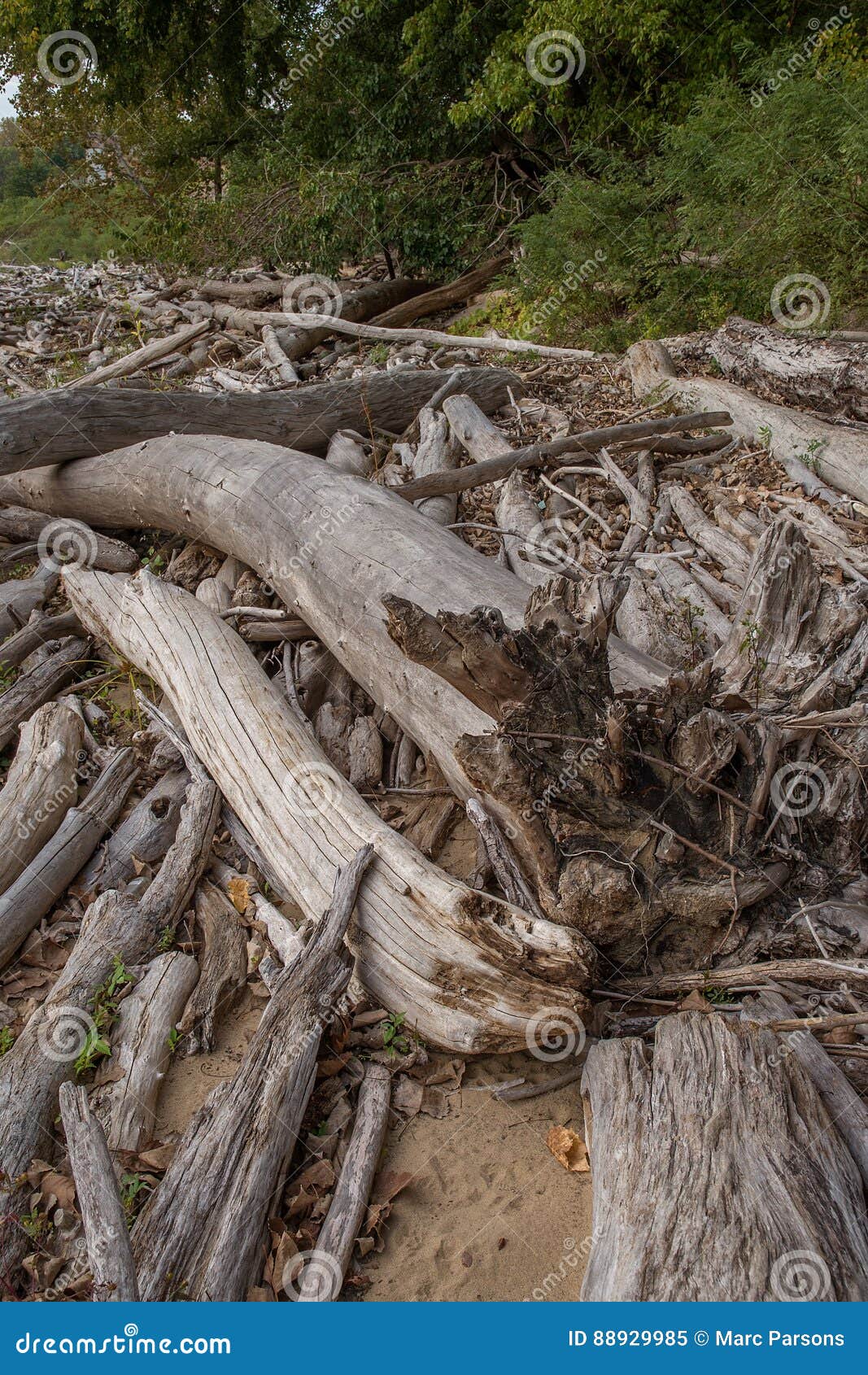 Driftwood stock image. Image of wood, drift, falls, ohio 88929985