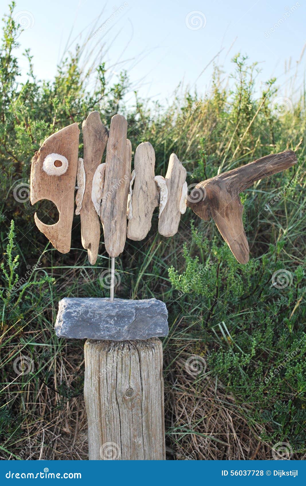 Driftwood fish stock photo. Image of hout, driftwood 56037728