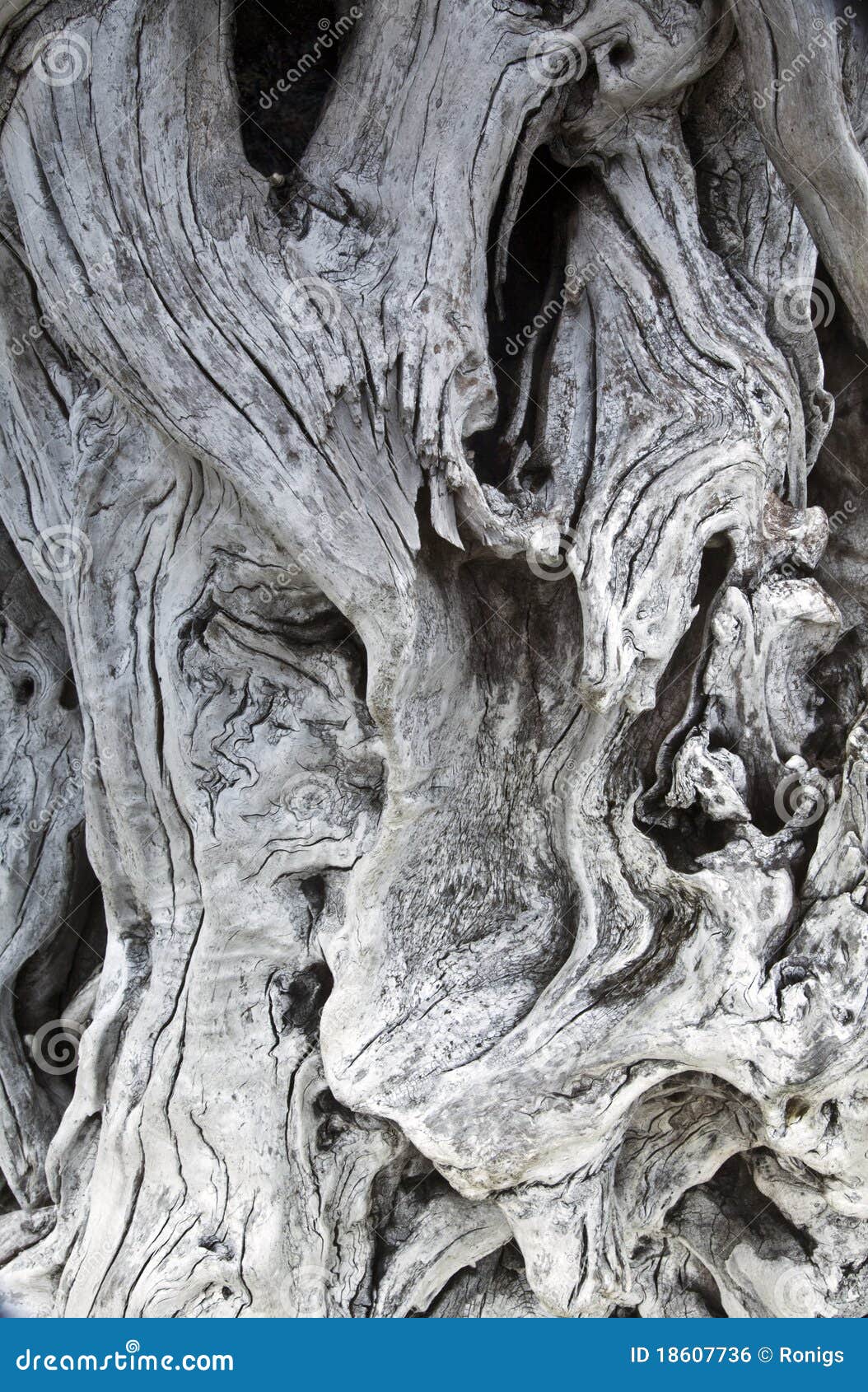 driftwood grain and knot texture