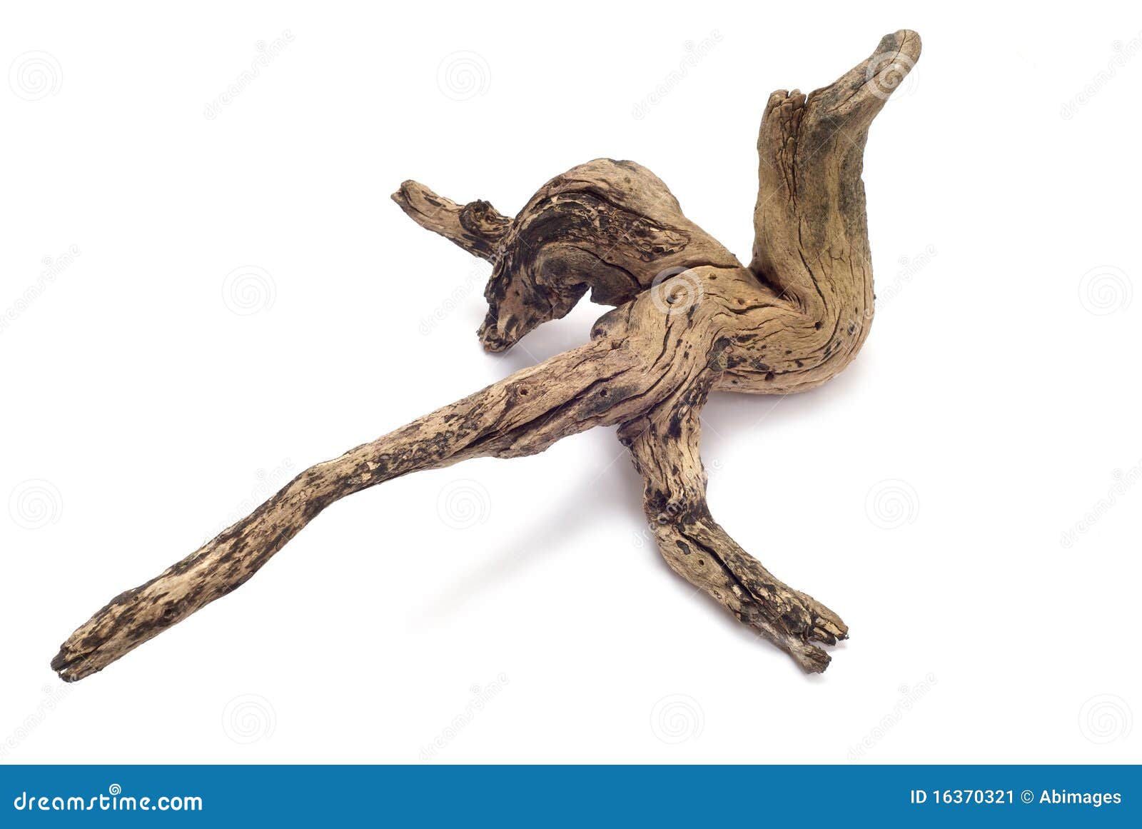 Driftwood piece stock image. Image of tree, driftwood 16370321