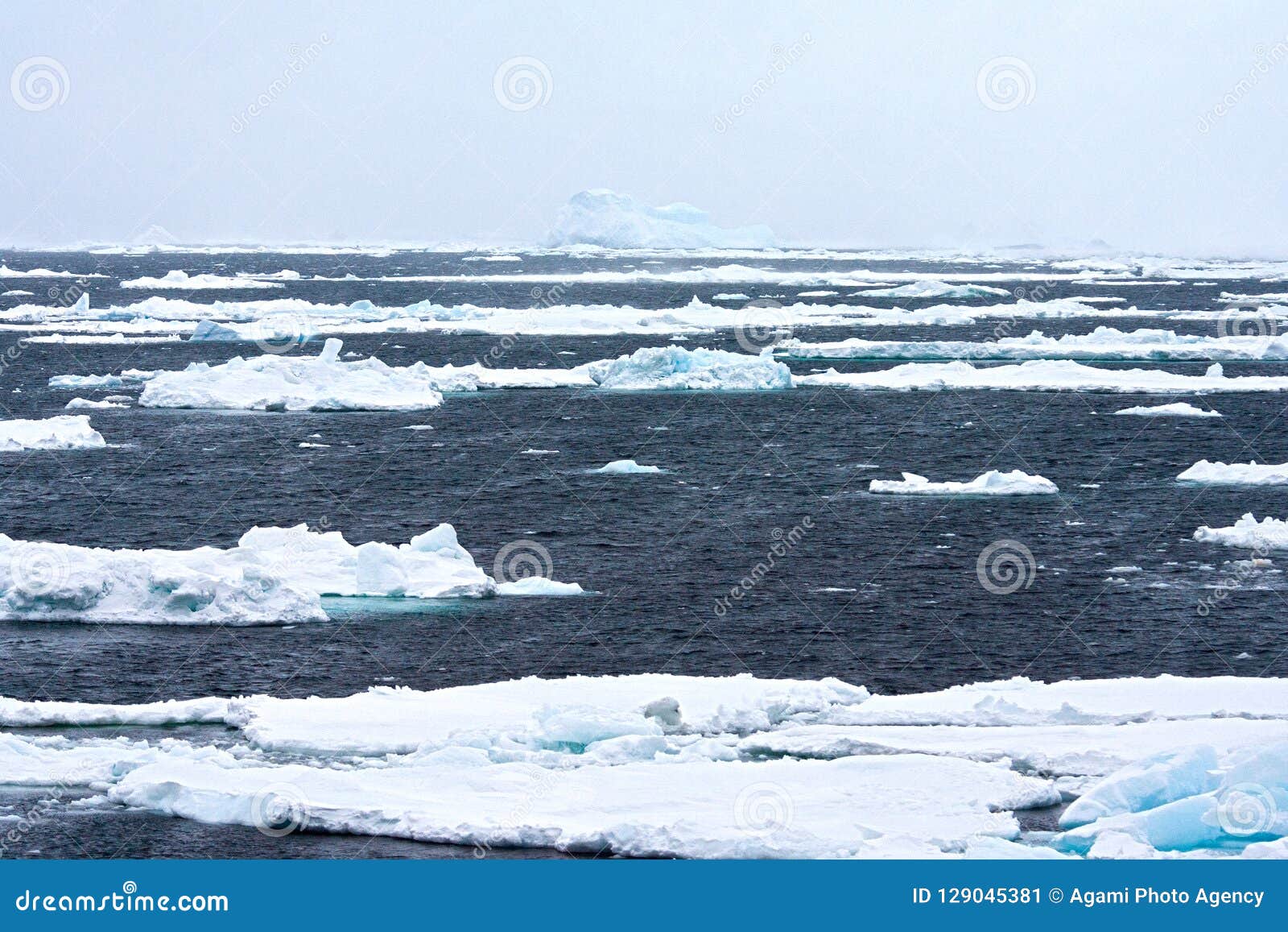 Drijfijs Antarctica, Drift Ice Antarctica Stock Image Image of
