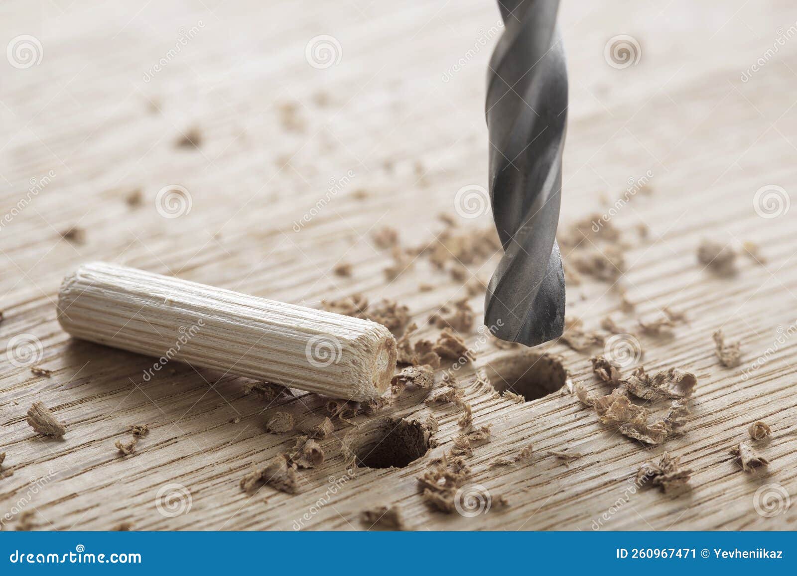 Drill Bit Makes Hole in Wooden Oak Board for Wooden Dowel Stock Image