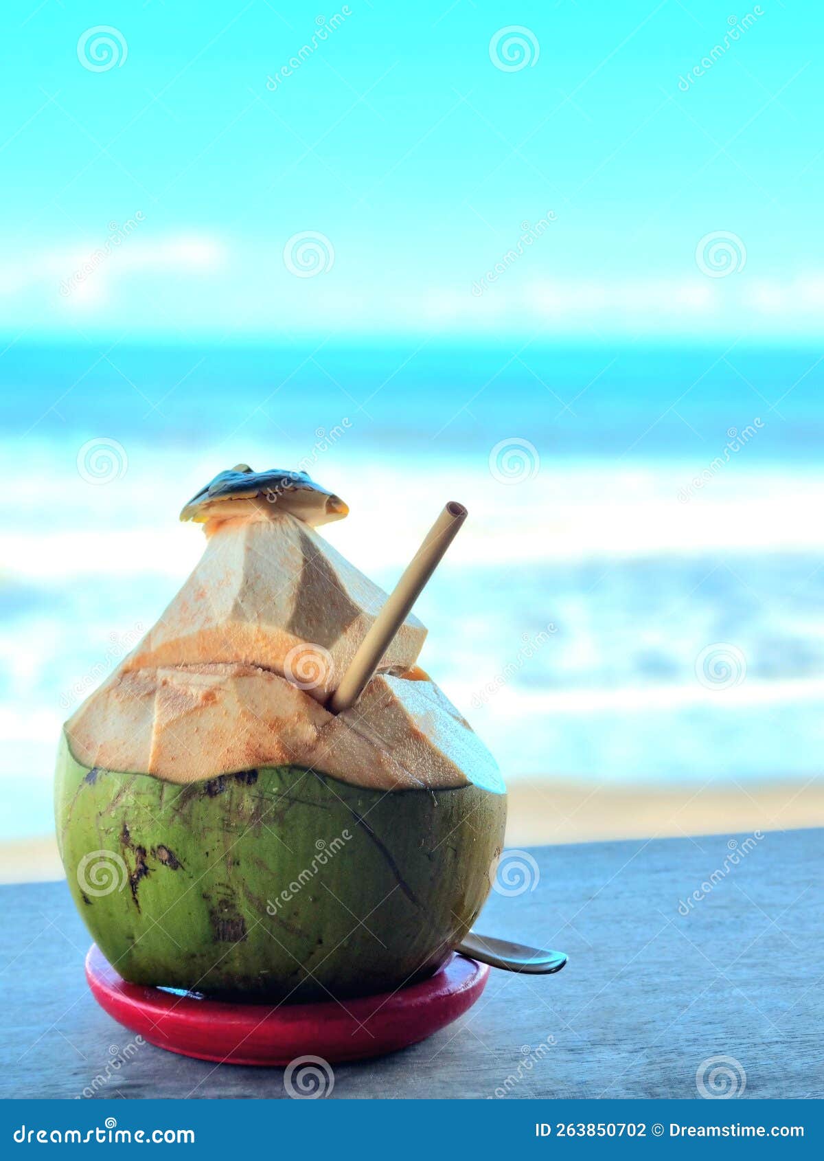 Drinking Coconut beside the Beach Stock Photo Image of cafe, drinking