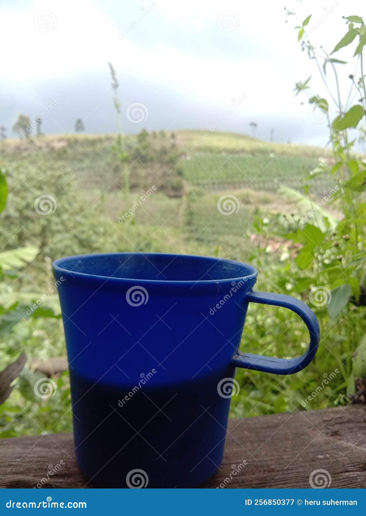 Drinking Coffee in the Garden Stock Image Image of drink, lawn 256850377