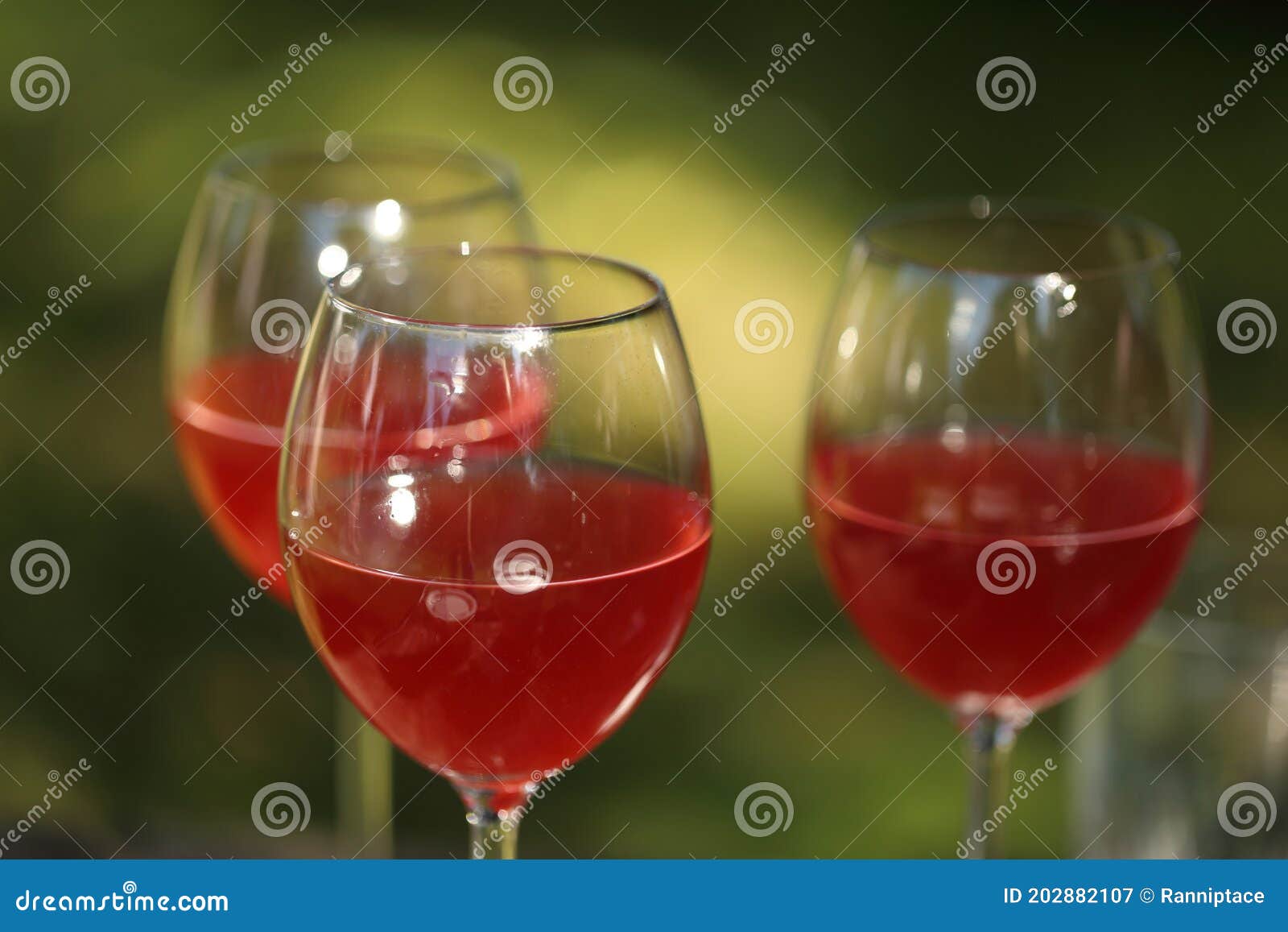 Drinking Rose Wine in the Garden in Summer Stock Image Image of food