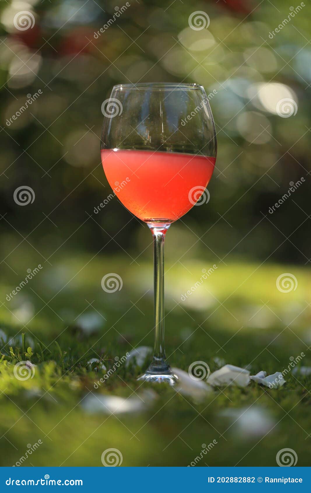 Drinking Rose Wine in the Garden in Summer Stock Photo Image of food