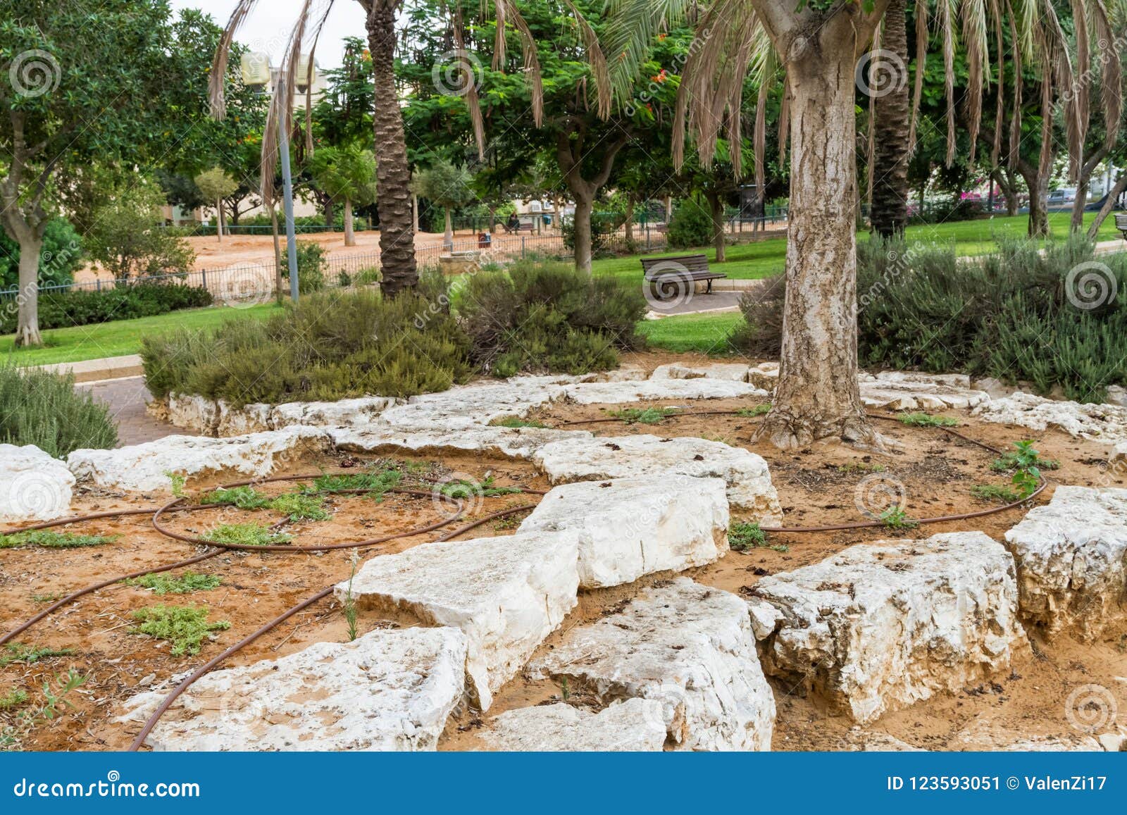 Drip Irrigation System in Park of Israel Stock Image Image of drip, leaves 123593051