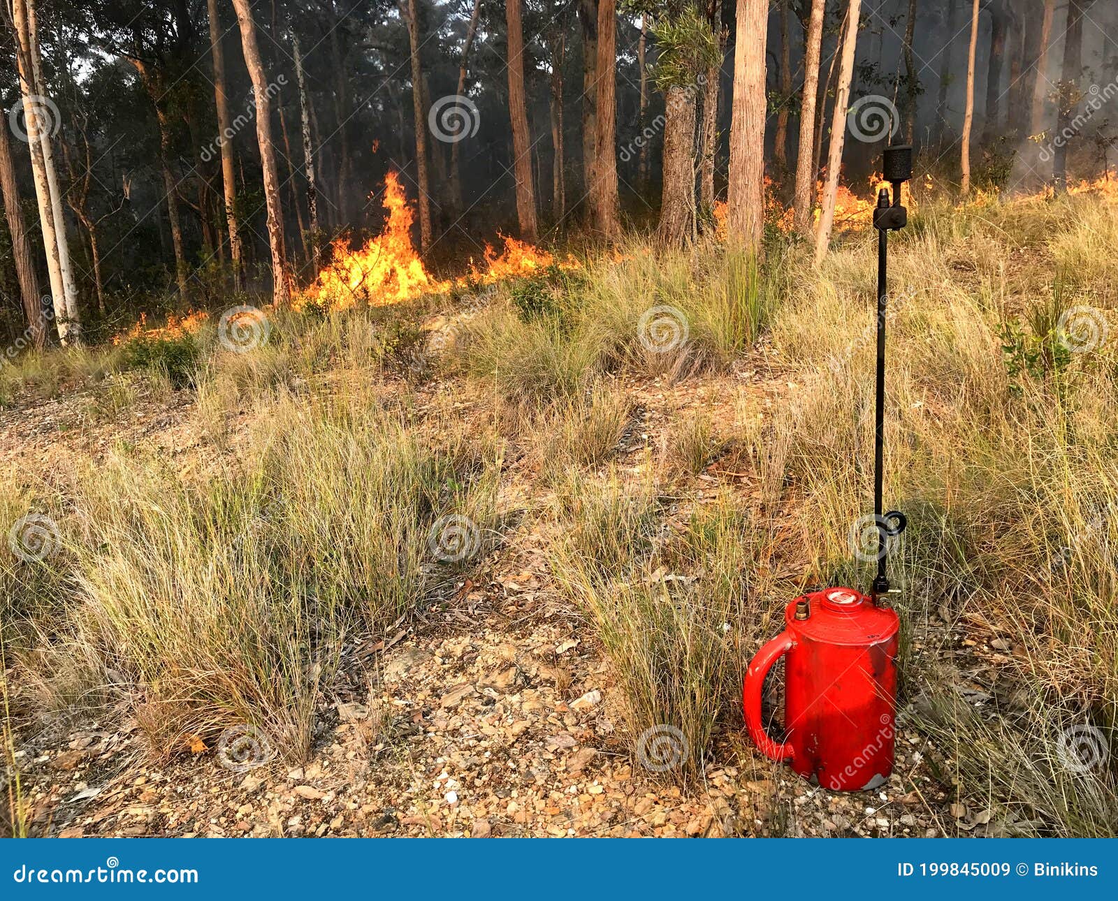 A Drip Torch with Fire in the Background Stock Image - Image of