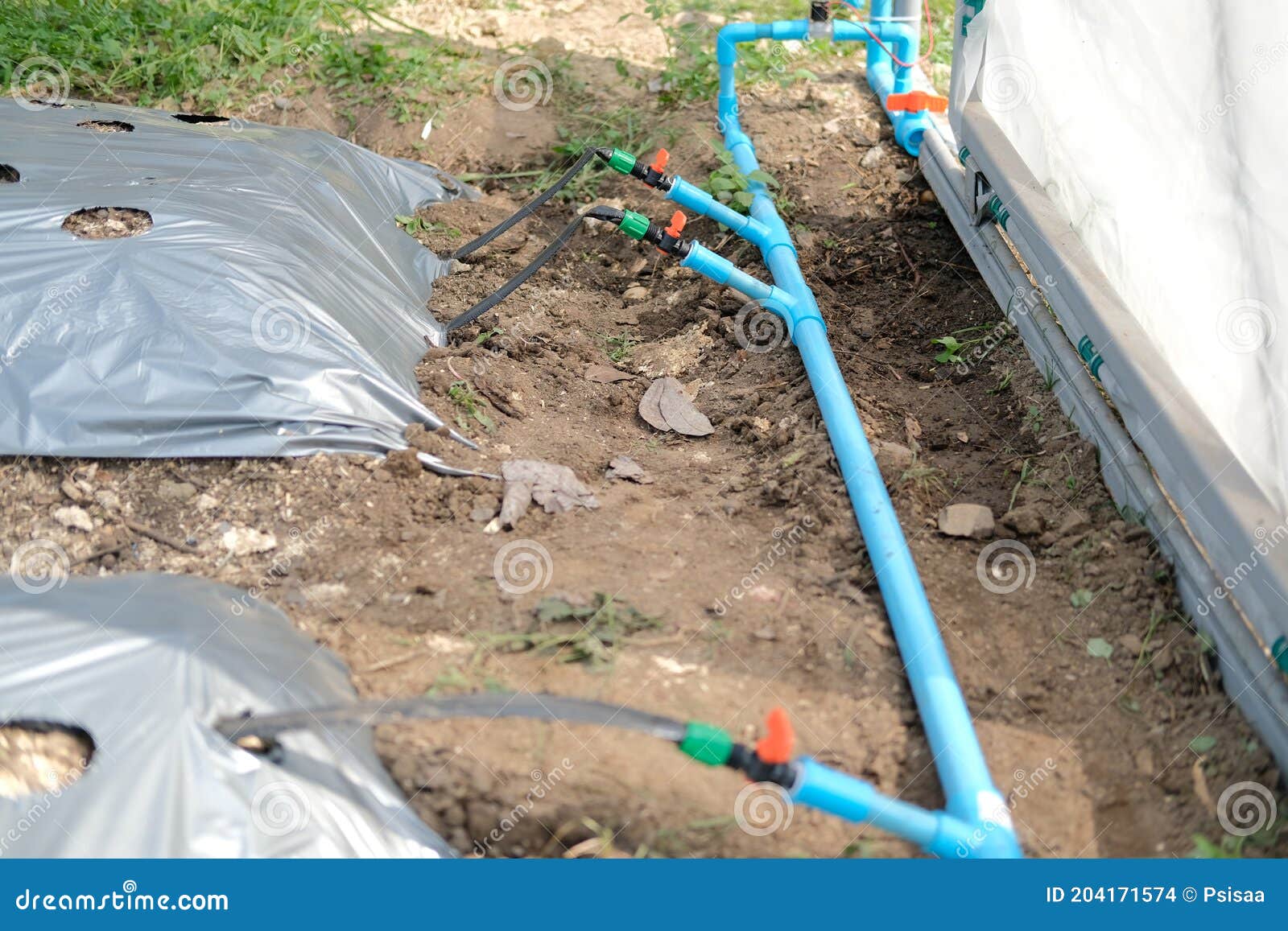Drip Water Irrigation System for Growing Plant Stock Photo Image of