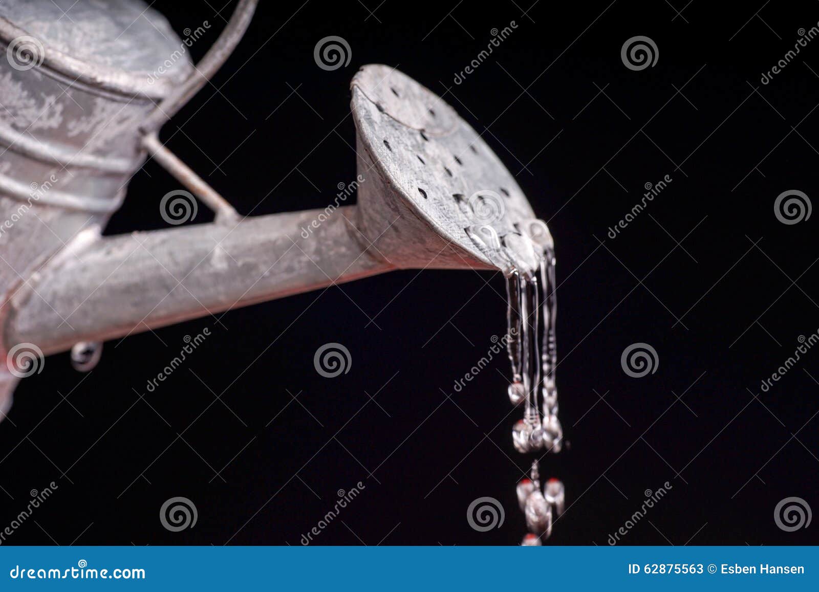 Dripping watering can stock image. Image of holding, sprinkling 62875563