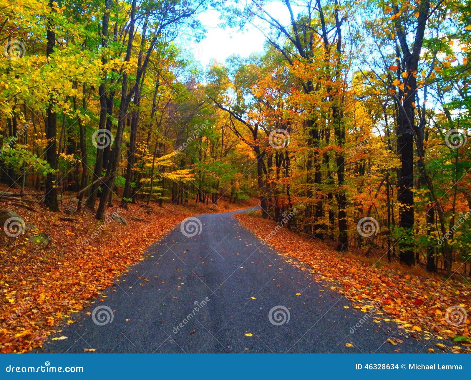 Drive in the autumn woods stock photo. Image of halloween 46328634