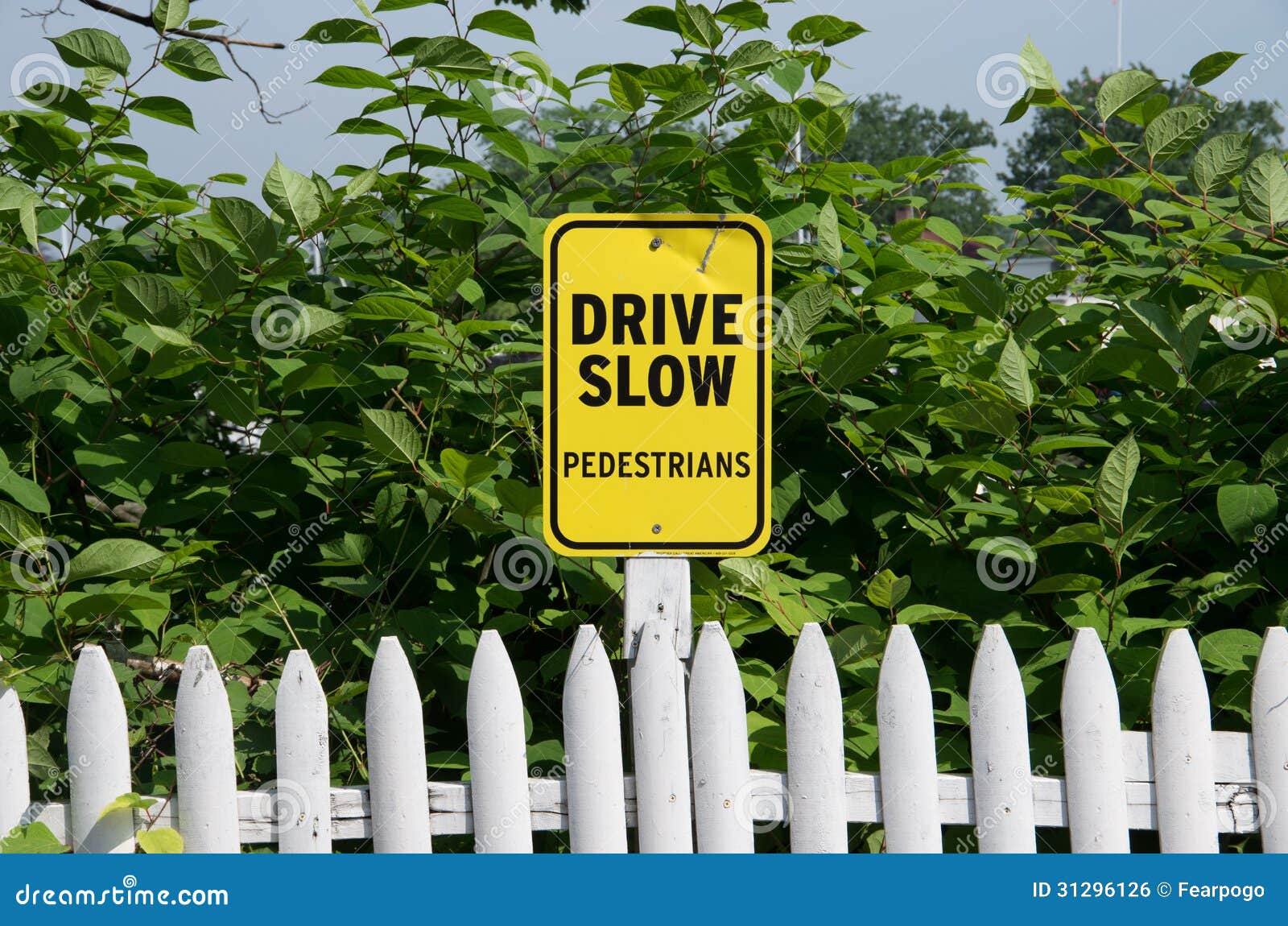 Drive Slow Sign stock photo. Image of fence, driving 31296126