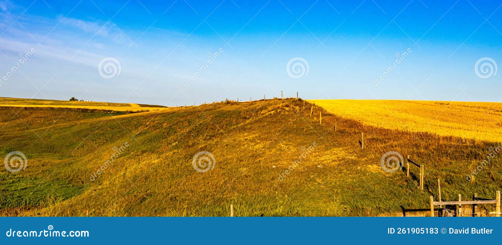 A Drive through Wheatland County Alberta Canada Stock Image Image of