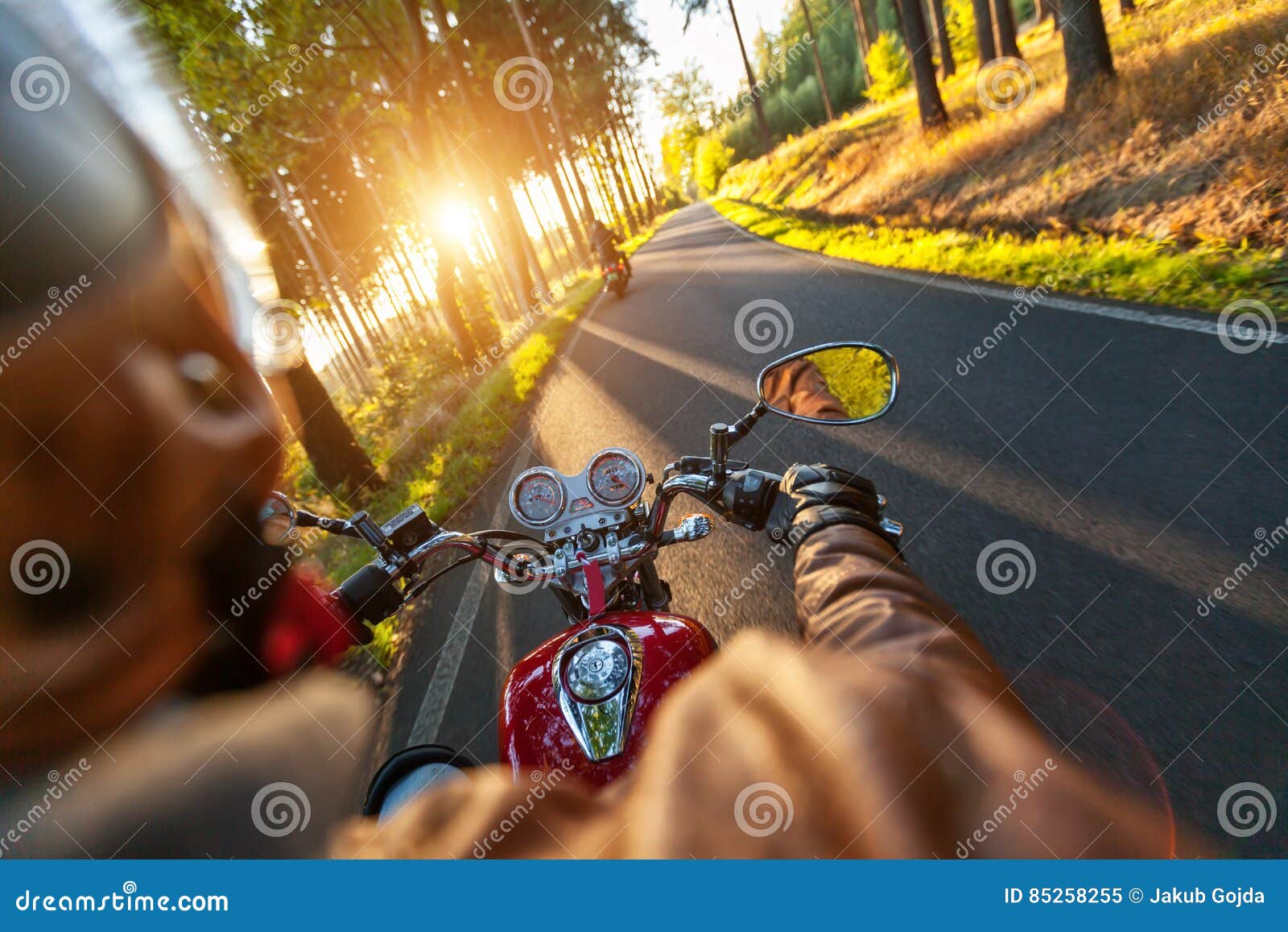 Driver Riding Motorcycle on an Asphalt Road through Forest Stock Image