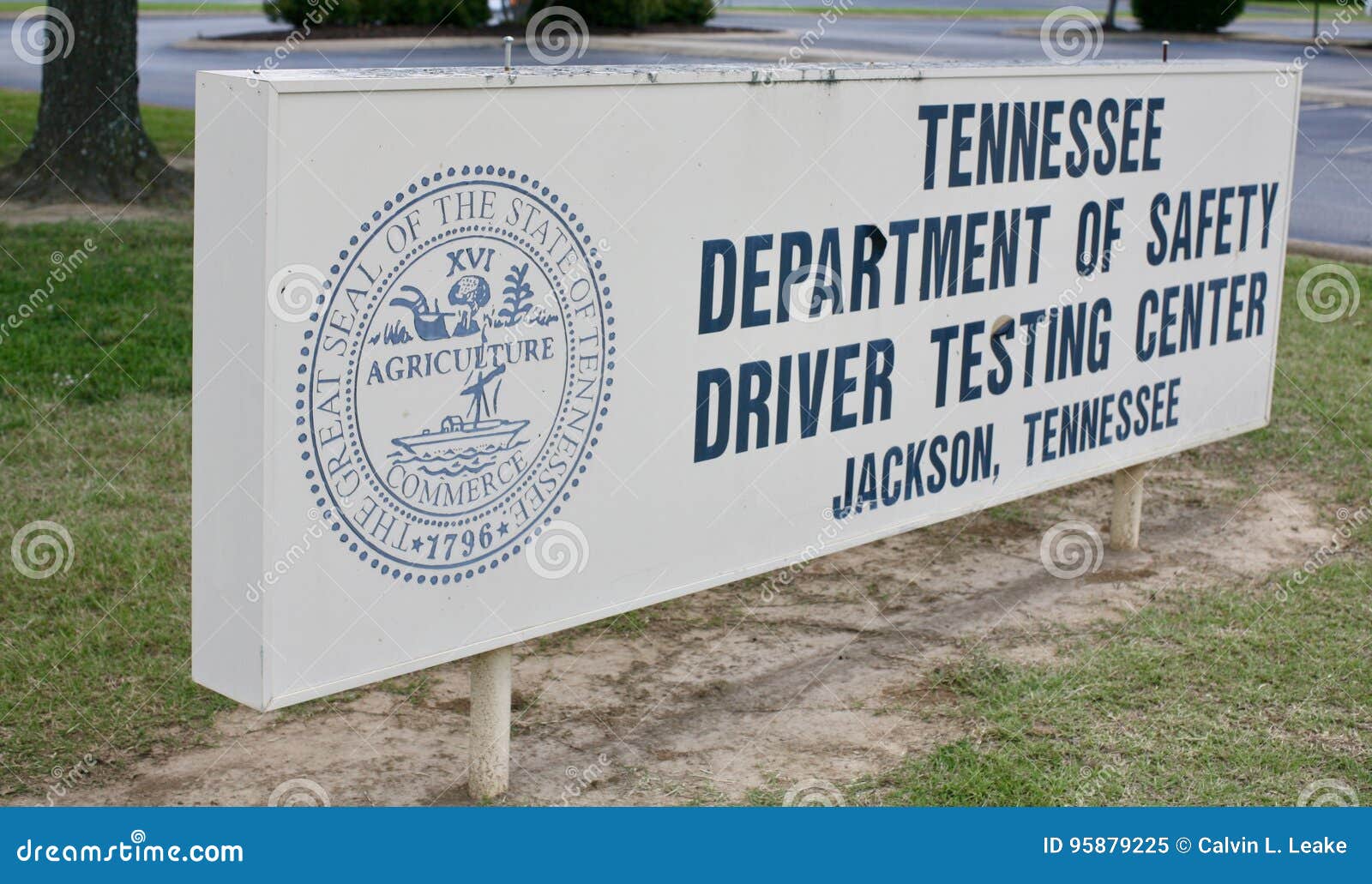 tennessee driver's license online tennessee driver's license online